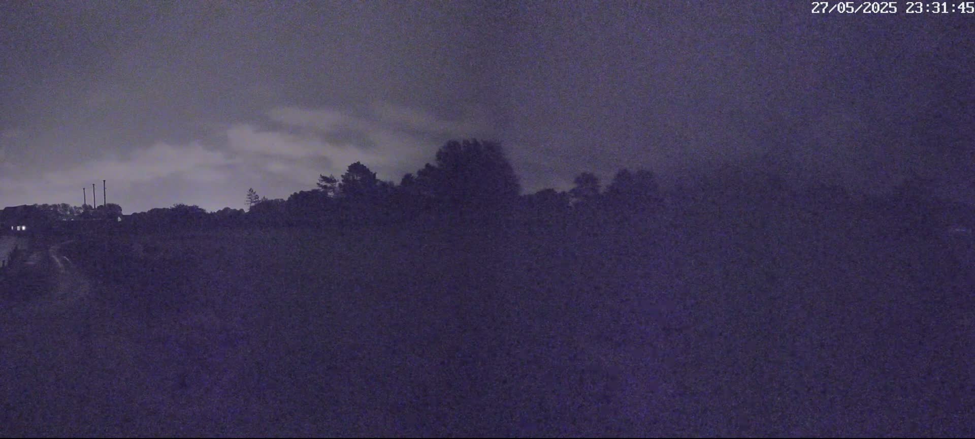 Silhouetted trees and a building are visible against a dark, cloudy night sky.