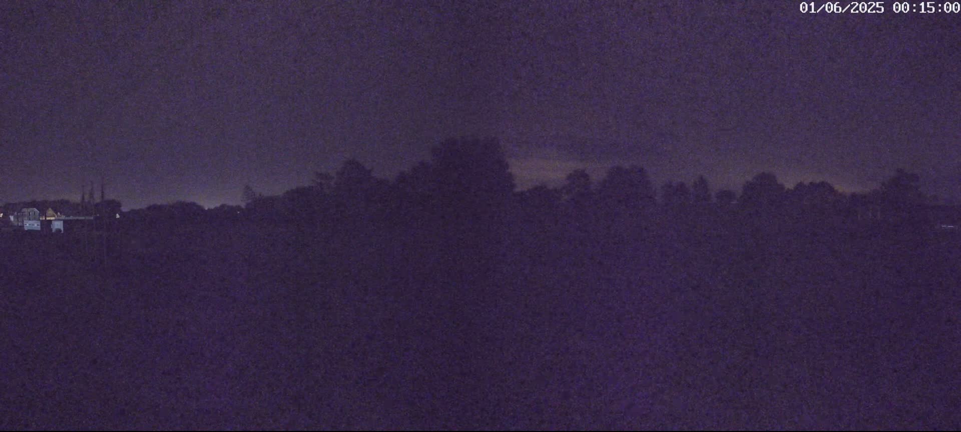 A dark, nighttime landscape shows a line of silhouetted trees and buildings under a dusky purple sky.