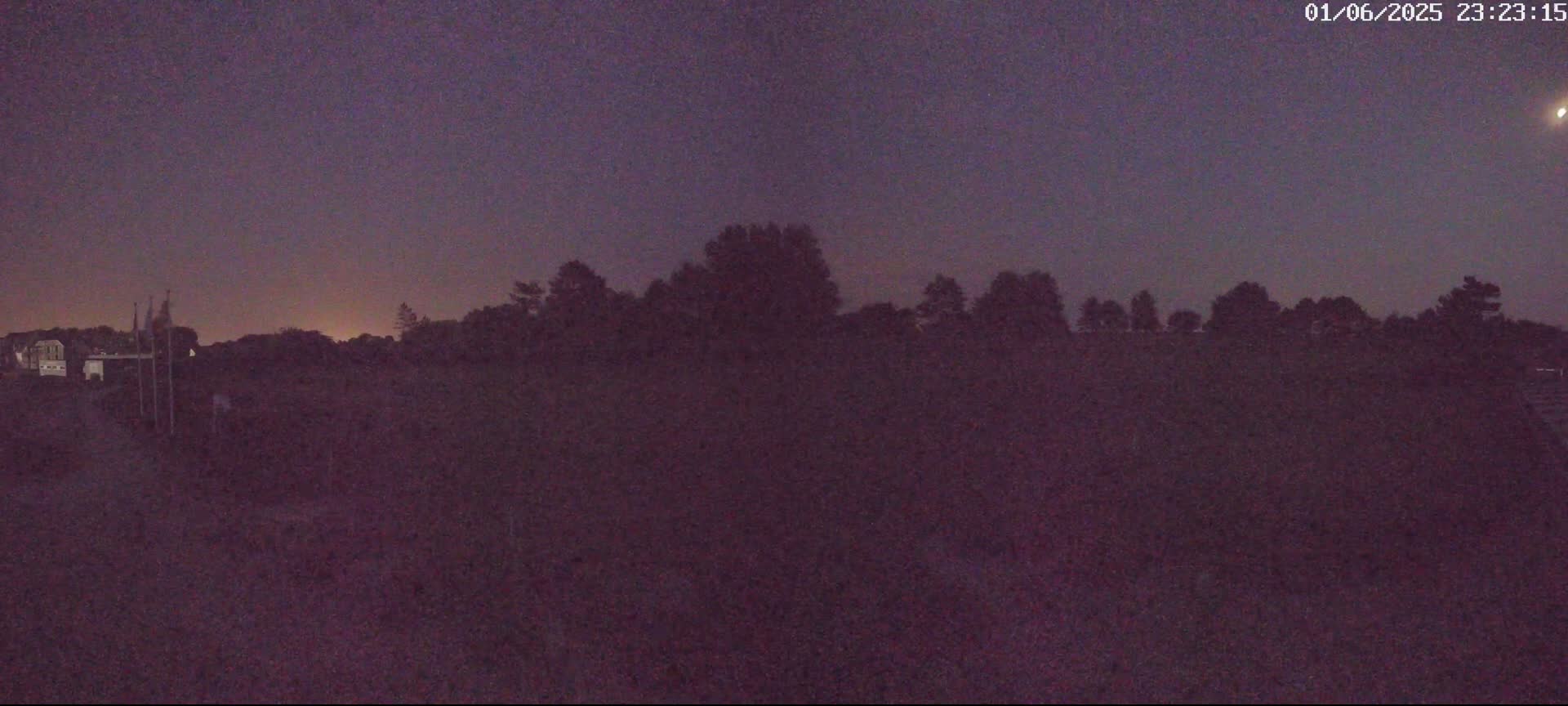 A dark, nighttime scene shows a line of silhouetted trees against a purplish-grey sky with a single bright streak visible in the upper right corner.