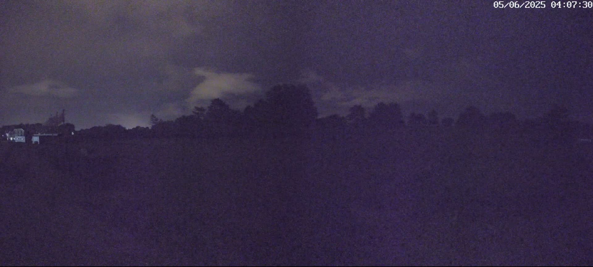 A dark, nighttime landscape shows a line of silhouetted trees under a cloudy, dark sky.