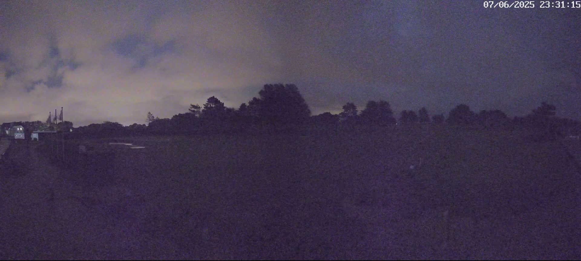 A nighttime view of a dark landscape with a line of trees silhouetted against a cloudy sky.