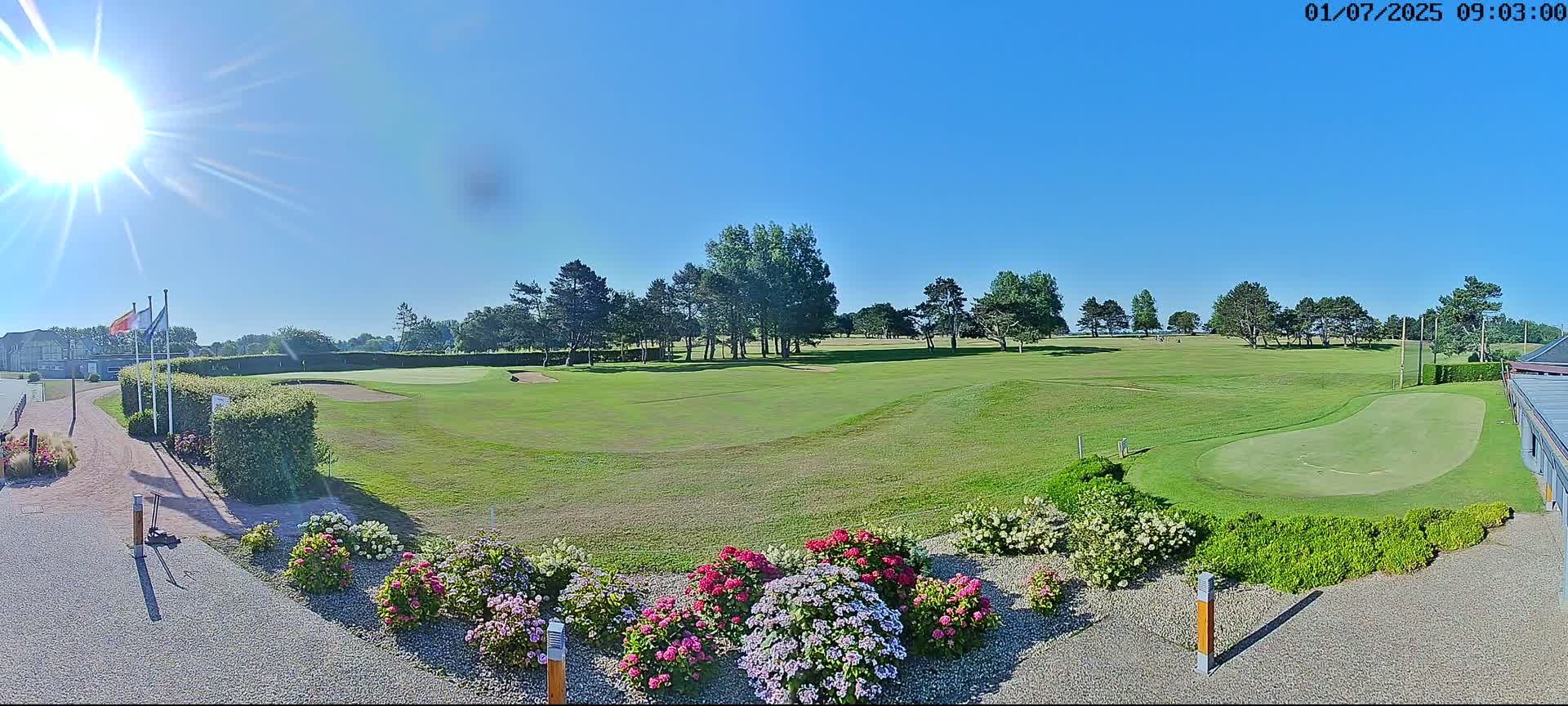 A sunny day on a golf course, showing a green putting area, fairways, and flowering plants near a pathway.