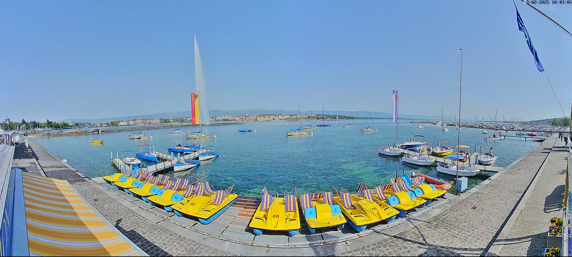 A sunny day at a harbor shows numerous boats docked, pedal boats lined up on a pier, and a tall water fountain in the distance.