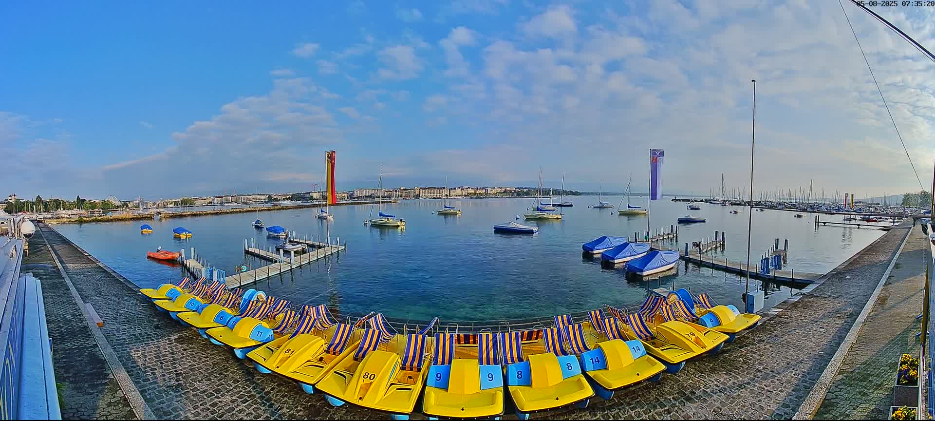 A calm, sunny day at a harbor shows numerous sailboats and pedal boats, with a city skyline visible in the background.