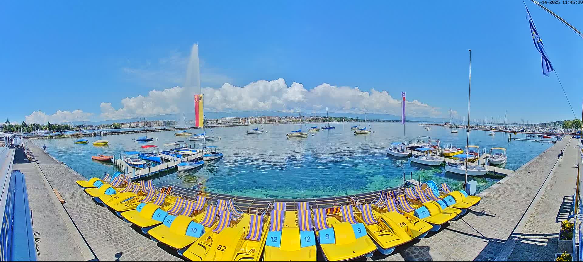 A sunny day on a lake shows a water fountain, numerous boats and pedal boats docked, and a city skyline in the distance.