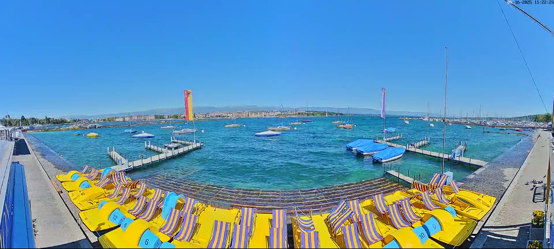 A sunny day shows a waterfront scene with numerous boats on turquoise water, docks with paddle boats, and a city skyline in the distance.