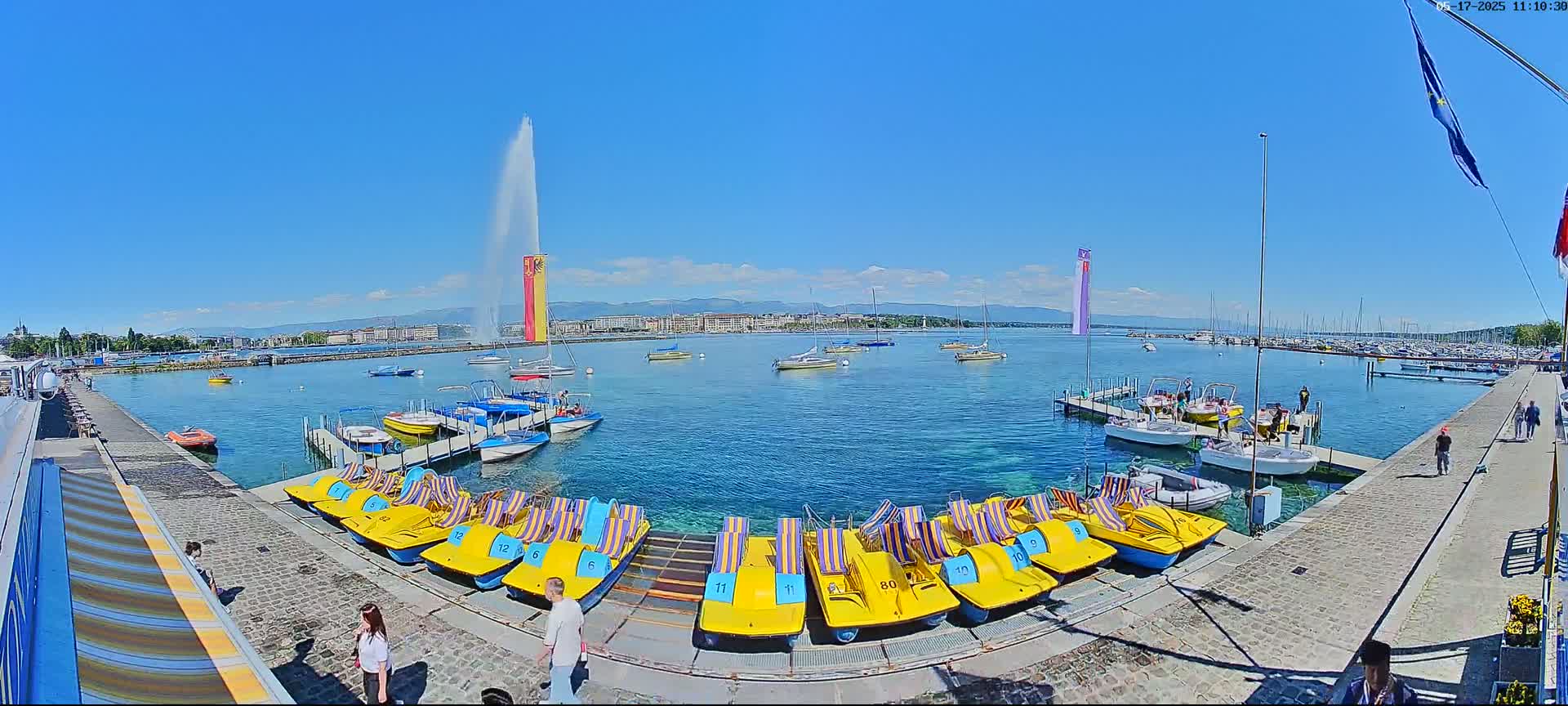 A sunny day at a harbor shows many boats, including several yellow pedal boats lined up near a dock, with a large fountain spraying water in the background.