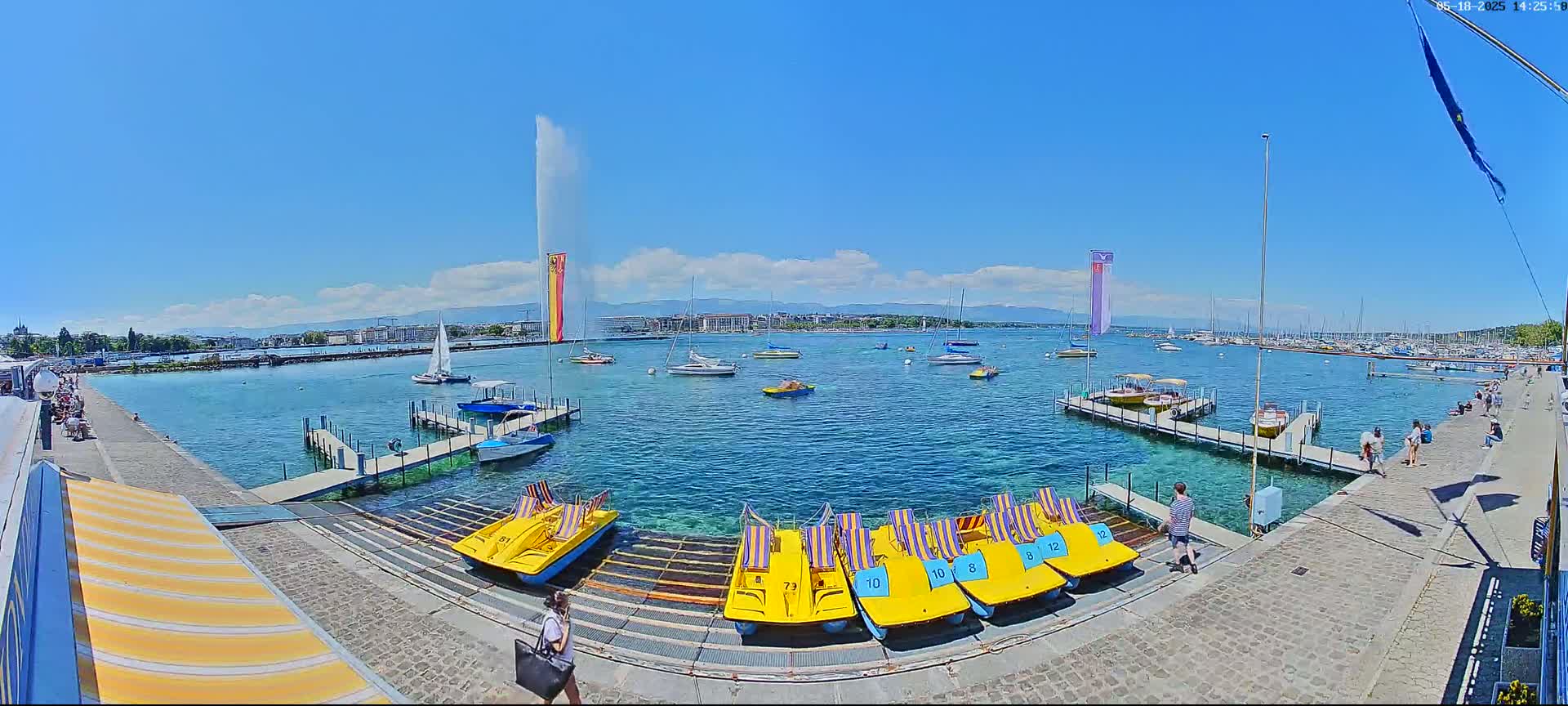 A sunny day shows a harbor with several boats and paddle boats docked, a large water fountain in the background, and a city skyline across the water.