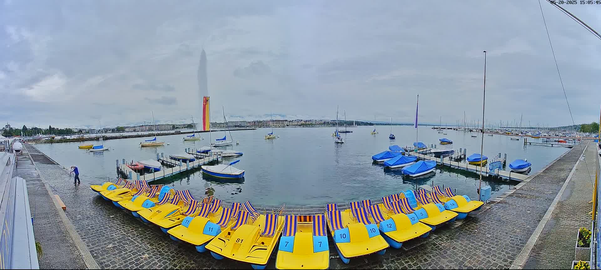 A waterfront scene on an overcast day shows a row of yellow paddle boats, several sailboats and motorboats moored at docks, and a large fountain in the distance.