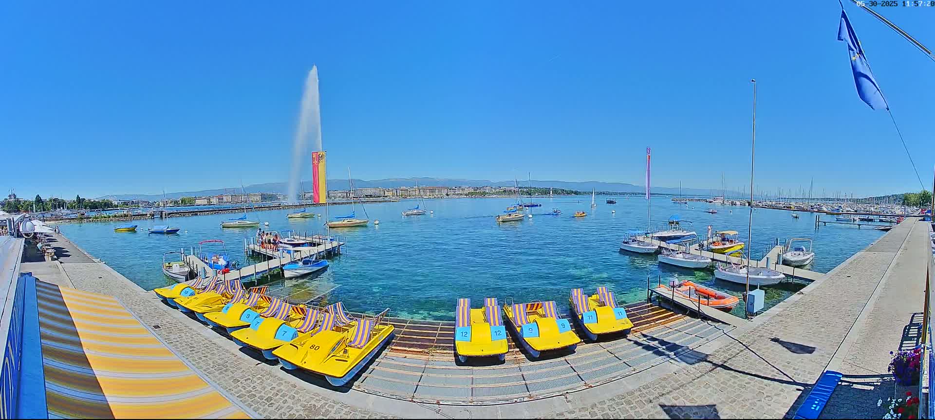 A sunny day shows a harbor with numerous boats and pedal boats docked, a large fountain in the background, and a city skyline visible across the water.