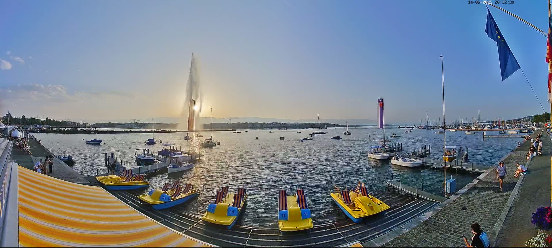 A sunny day at a harbor shows a calm body of water with numerous boats docked and on the water, with a city skyline visible in the distance.