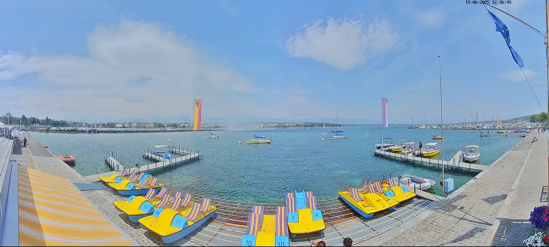 A sunny day at a waterfront location shows numerous yellow paddle boats docked, along with several other boats and a city in the distance.