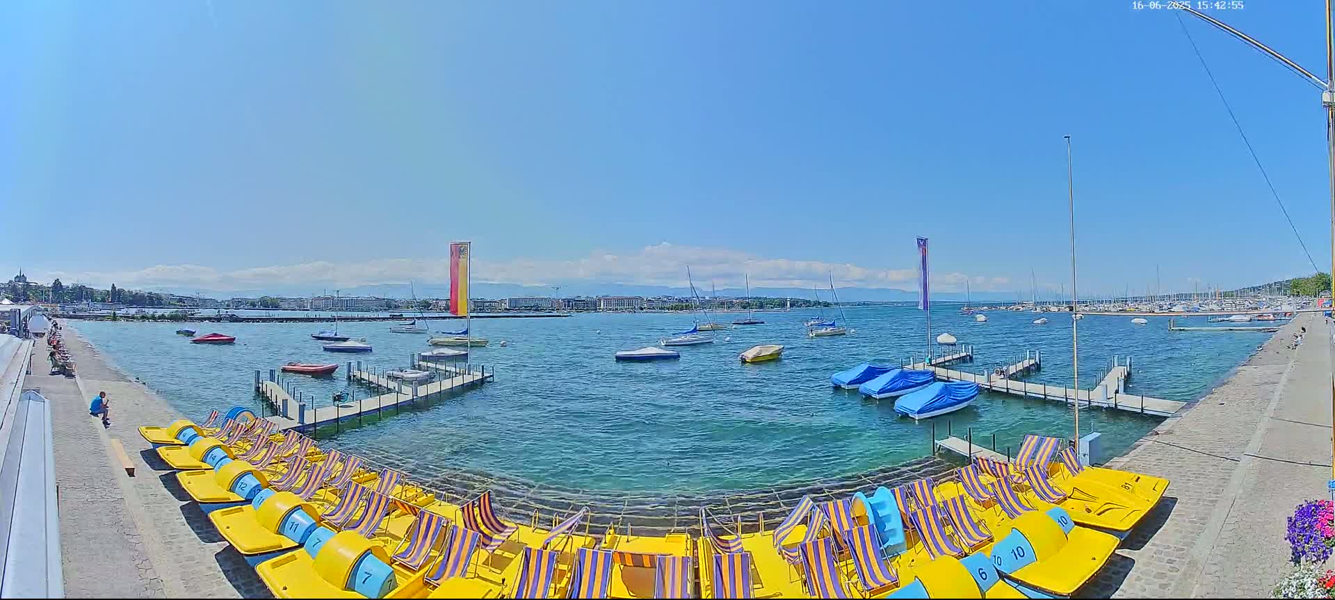 A sunny day at a harbor shows numerous boats on the water, several docked, and many yellow paddle boats lined up on a paved area next to a walkway.