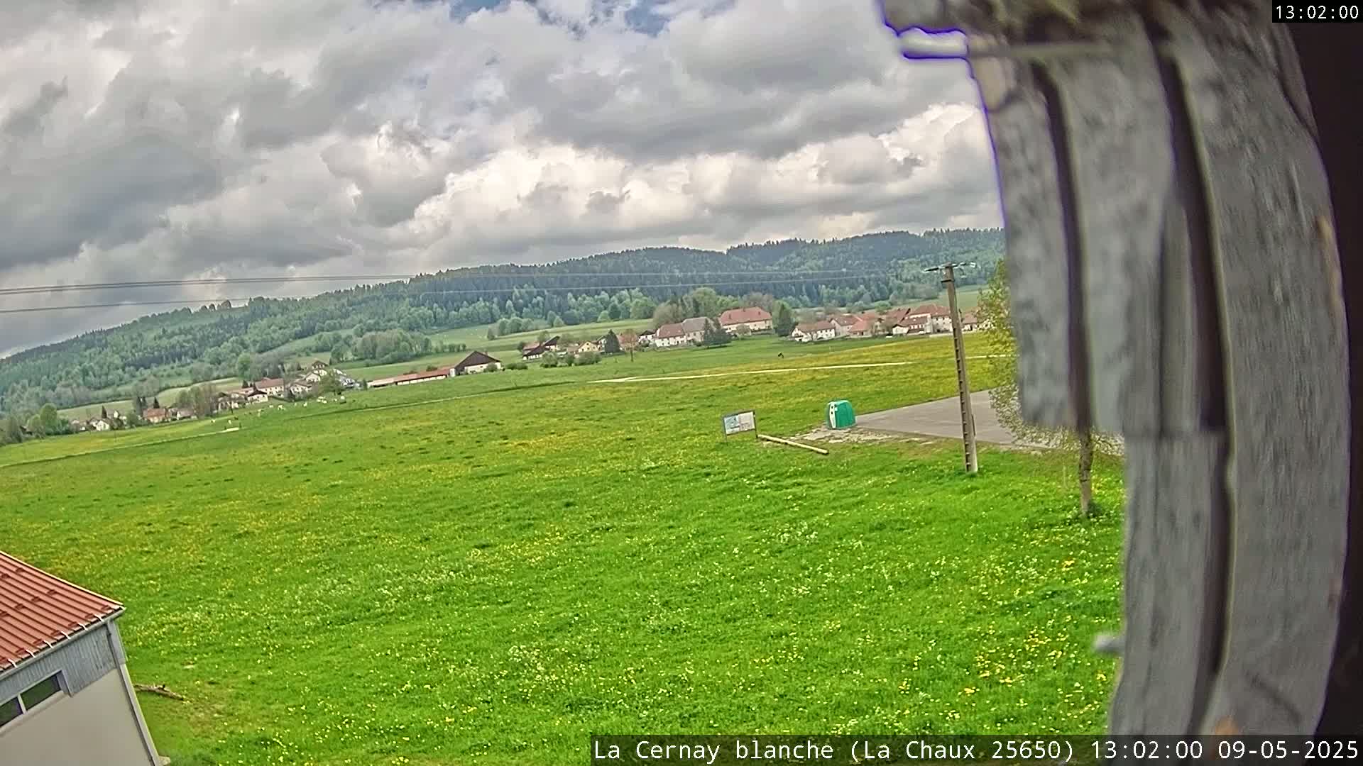 A sprawling green field dotted with yellow wildflowers stretches out before a small village nestled against a backdrop of a forest under a partly cloudy sky.