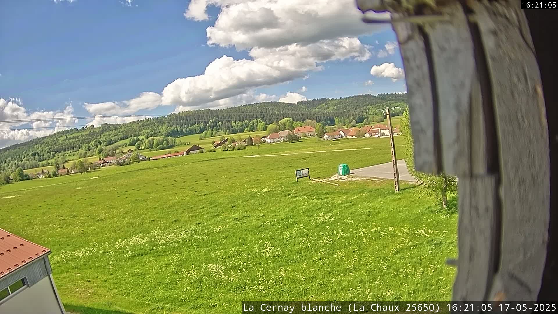 A partly cloudy sky overlooks a vast green field dotted with wildflowers, a small village nestled amongst trees in the distance.