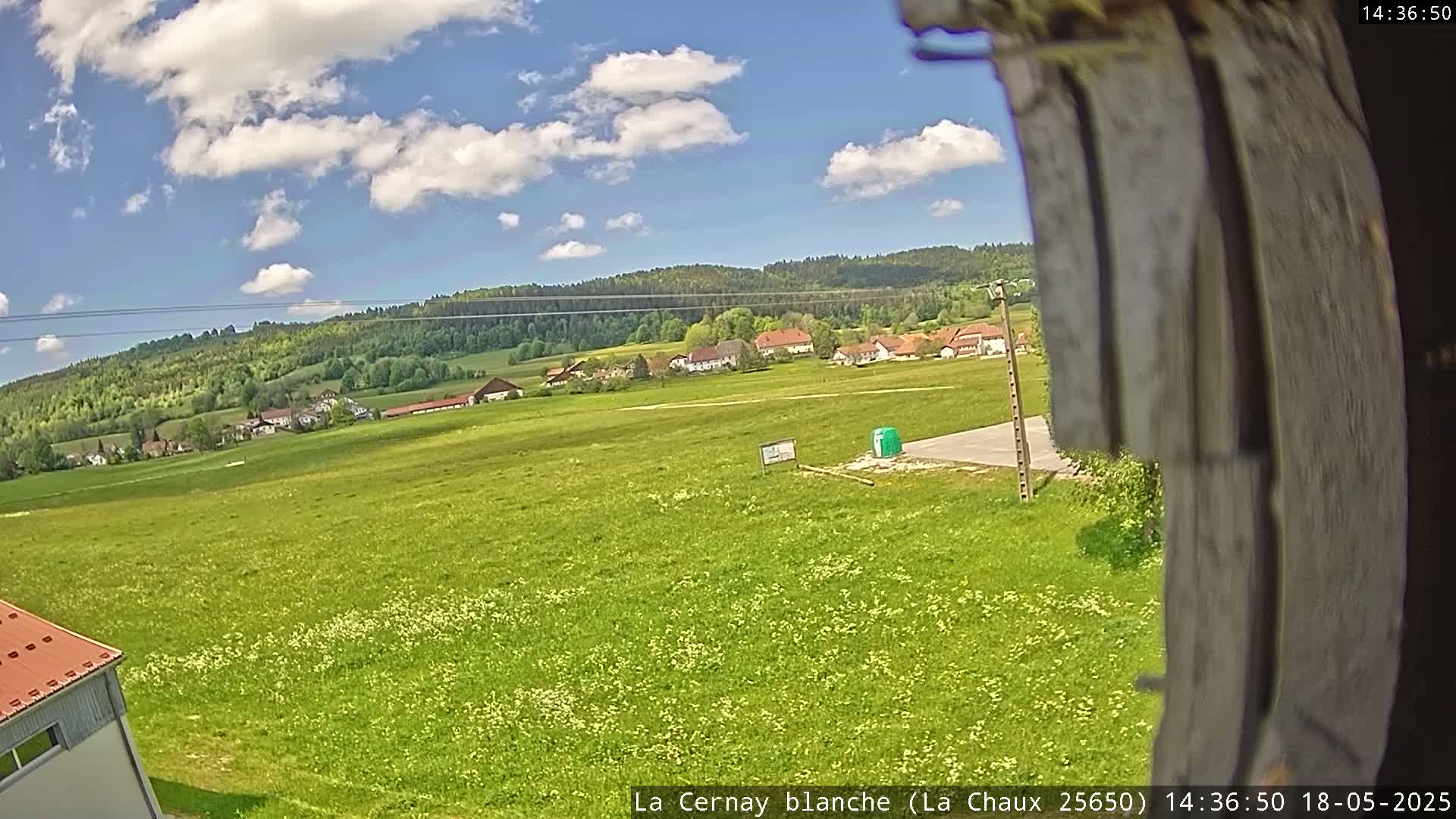A partly cloudy sky overlooks a sprawling green field dotted with wildflowers, a small village nestled in the background, and a wooded hillside in the distance.