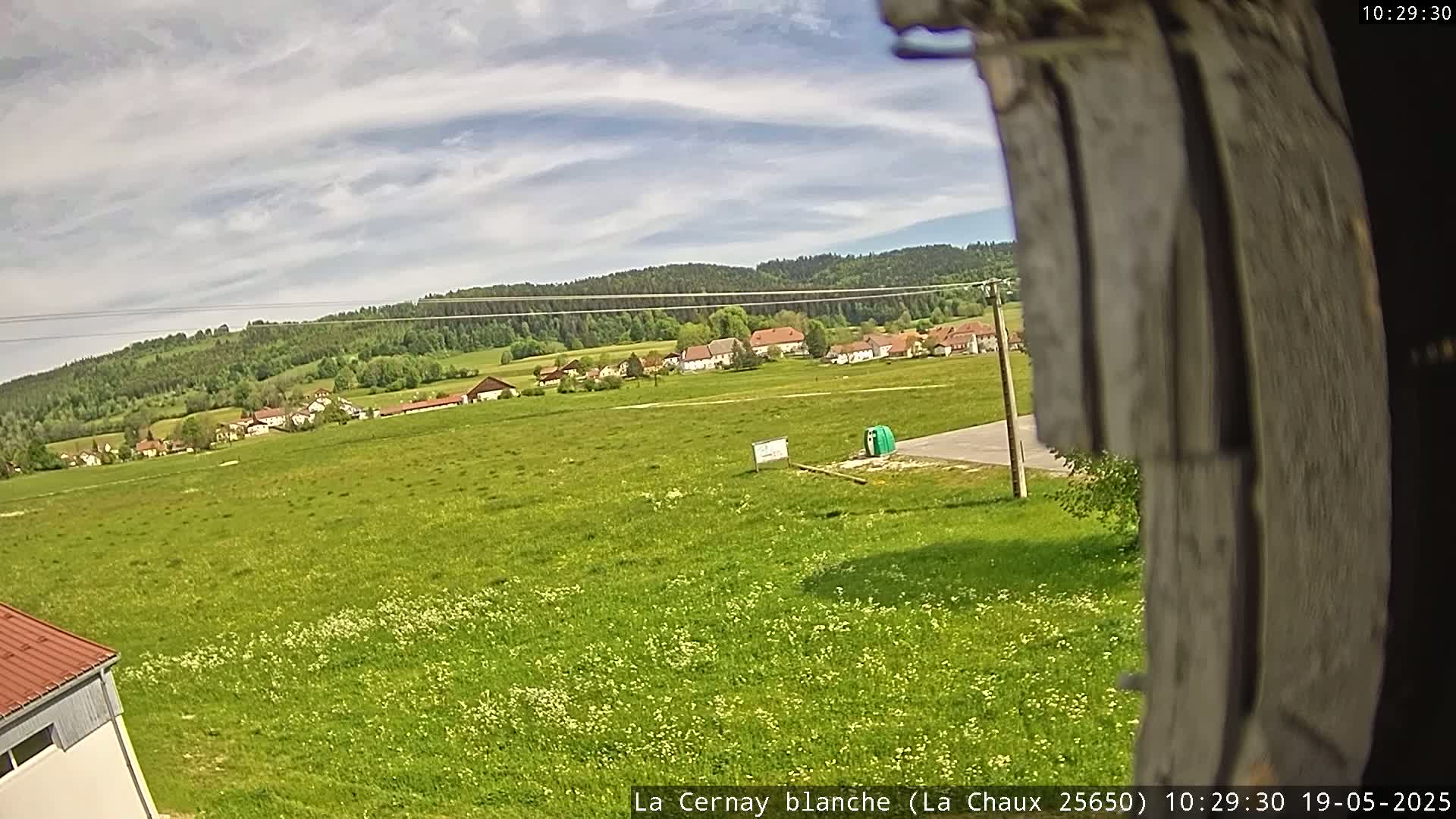 A partly cloudy sky overlooks a verdant field dotted with wildflowers, a small village nestled in the distance against a backdrop of forested hills.