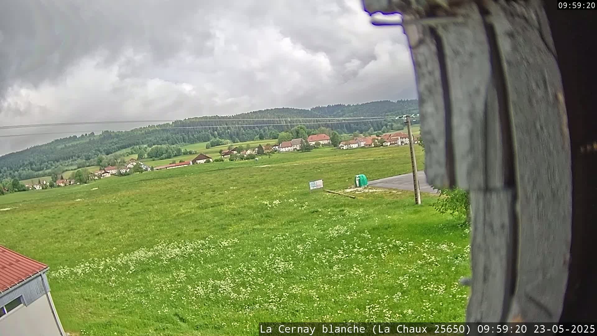 A mostly cloudy day reveals a sprawling green field dotted with wildflowers, a small village nestled in the distance beyond a line of trees, and a portion of a building in the foreground.