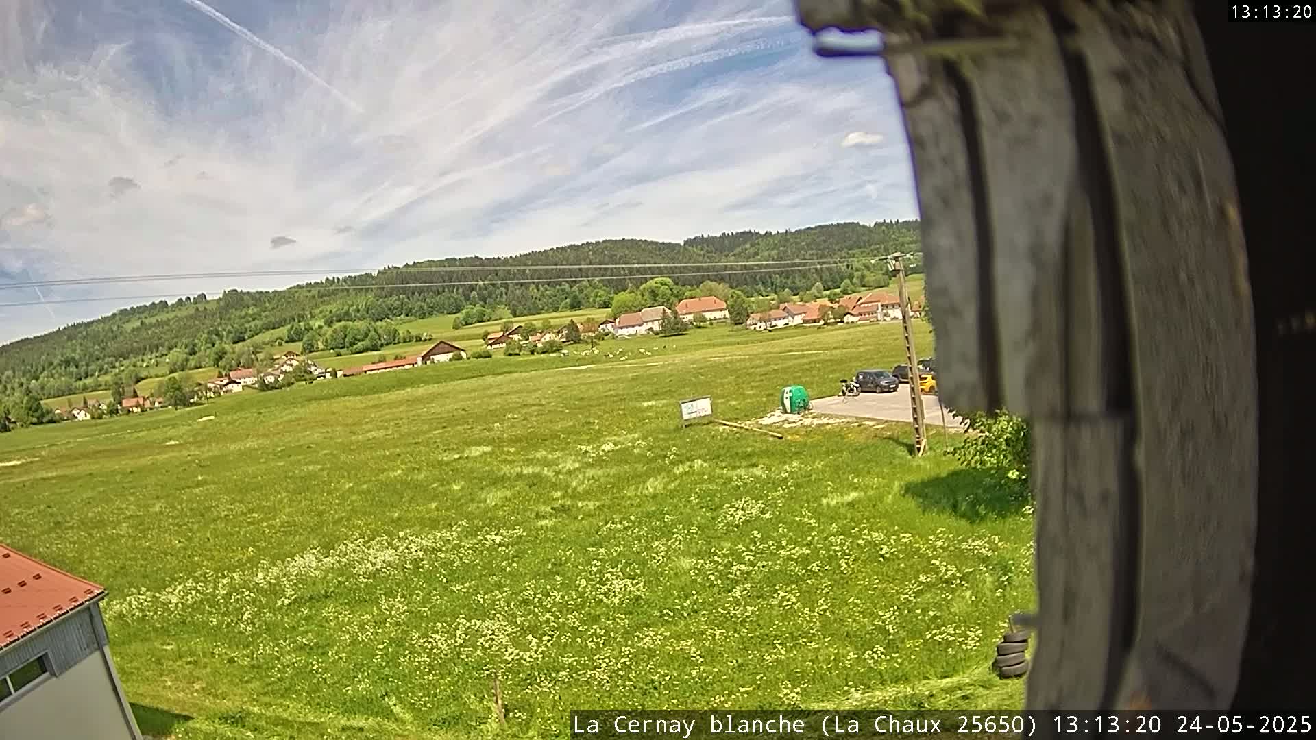 A partly cloudy day shows a field of wildflowers and grass leading to a small village nestled against a green hillside.