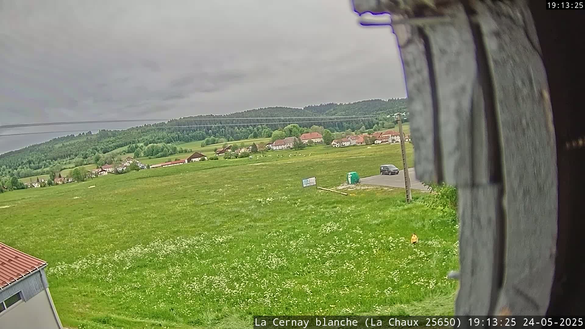 A view through a partially obstructed window shows a green field dotted with wildflowers, a small village in the distance, and a overcast sky.