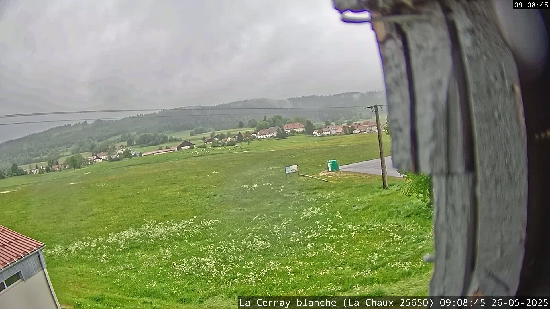 A wide, green field dotted with white flowers stretches towards a small village nestled among hills under an overcast sky.