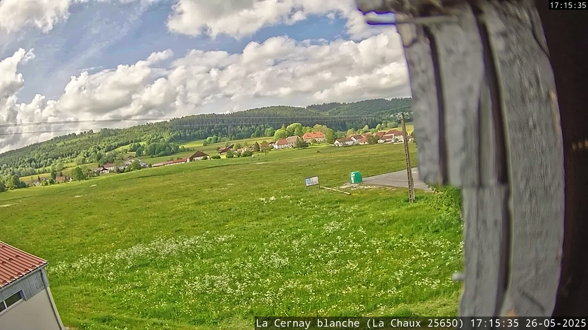A partly cloudy sky overlooks a vast green field dotted with white wildflowers, a small village in the distance, and a dark brown wooded hill beyond.