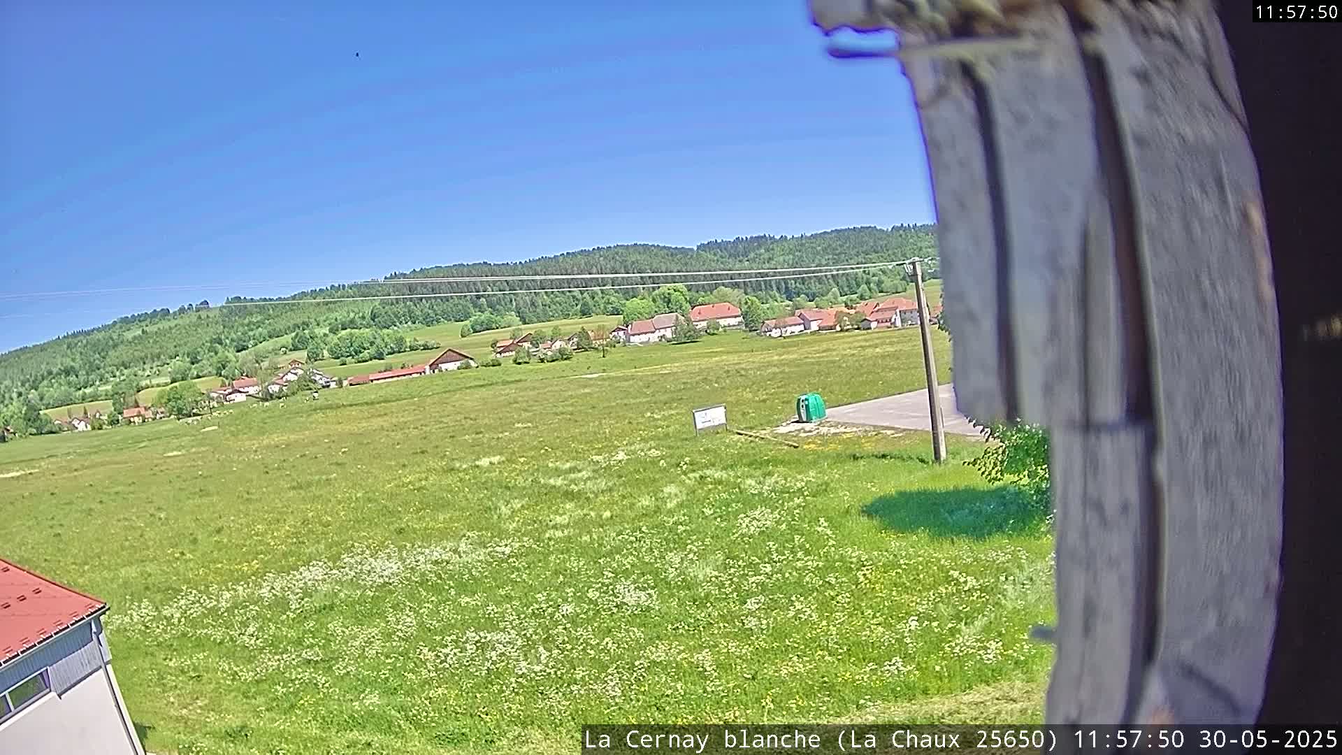 A grassy field dotted with wildflowers stretches toward a small village nestled against a backdrop of forested hills under a clear blue sky.