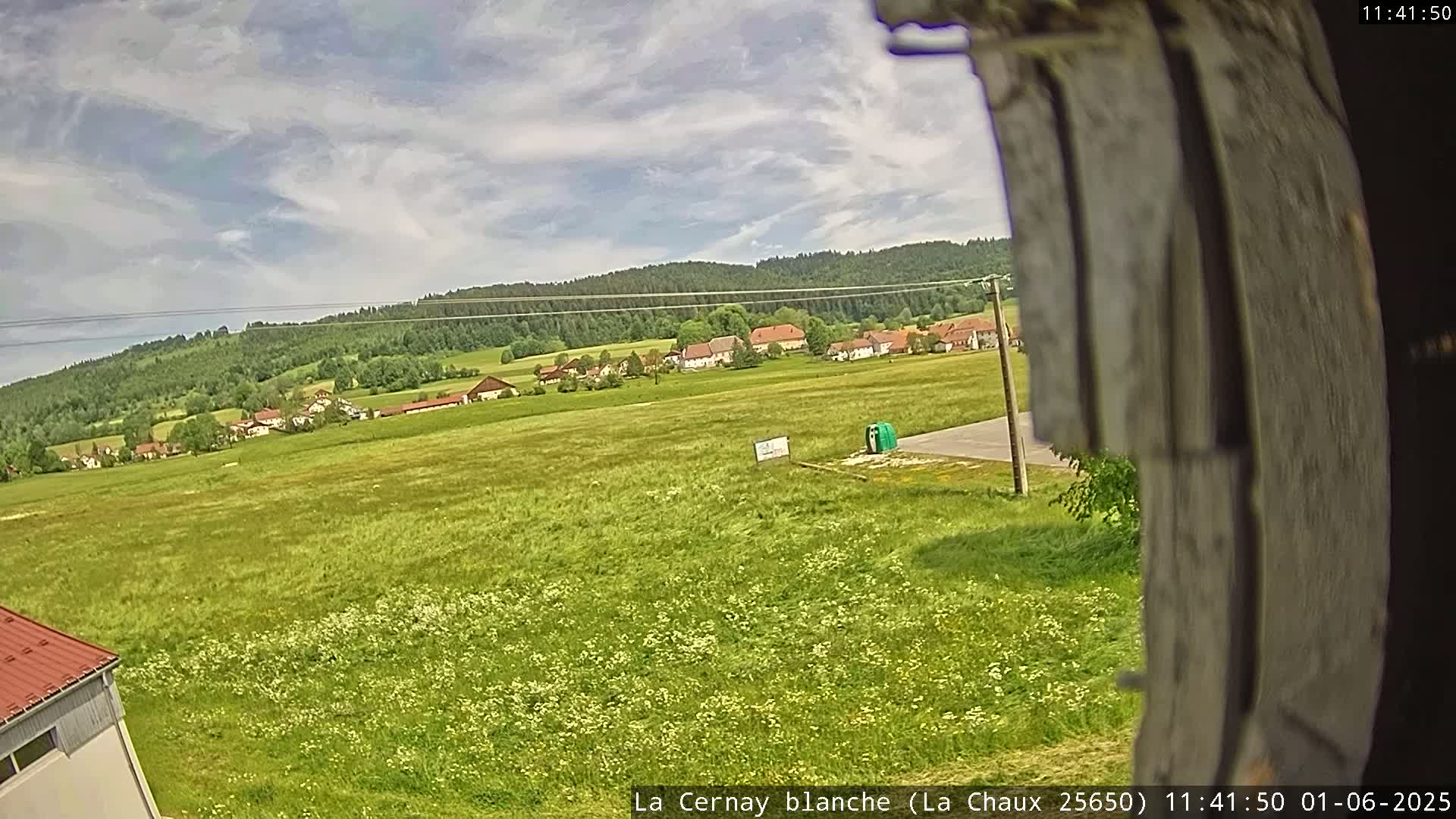 A partly cloudy sky overlooks a sprawling green field dotted with wildflowers, a small village, and a forested hillside in the background.