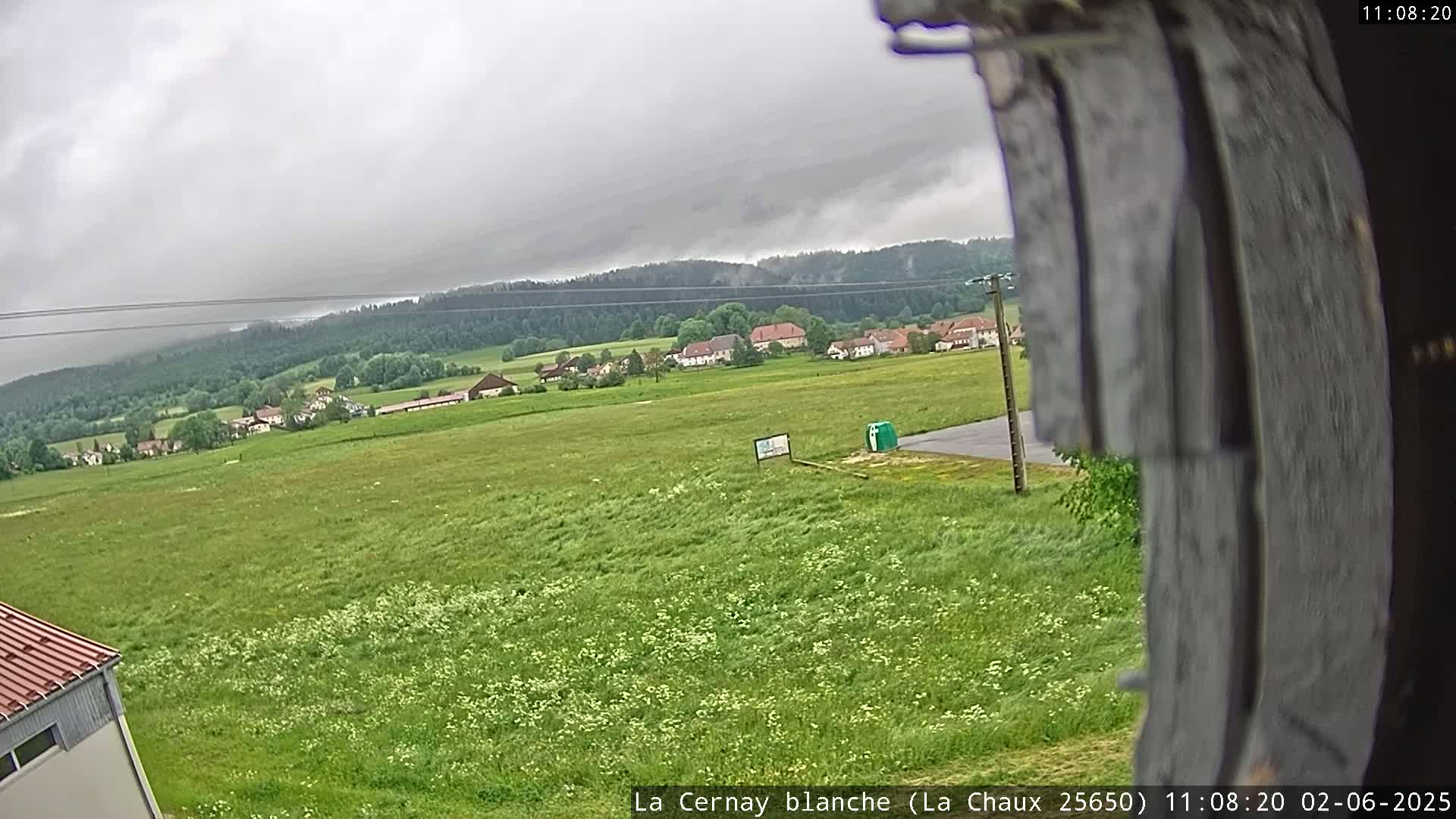 A view of a green field with a small village in the background under an overcast sky.
