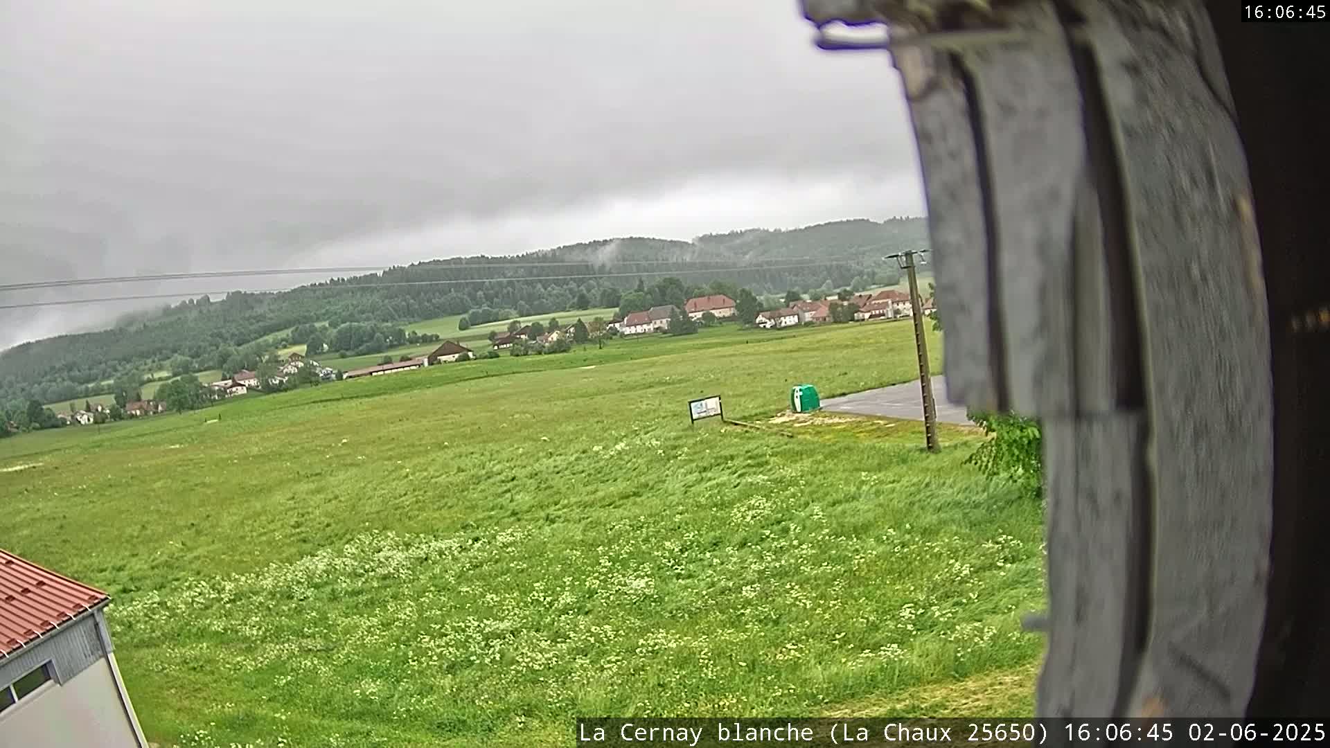 A mostly cloudy day reveals a sprawling green field dotted with wildflowers, a small village nestled in the distance amongst a line of trees, and a portion of a building in the bottom left corner.