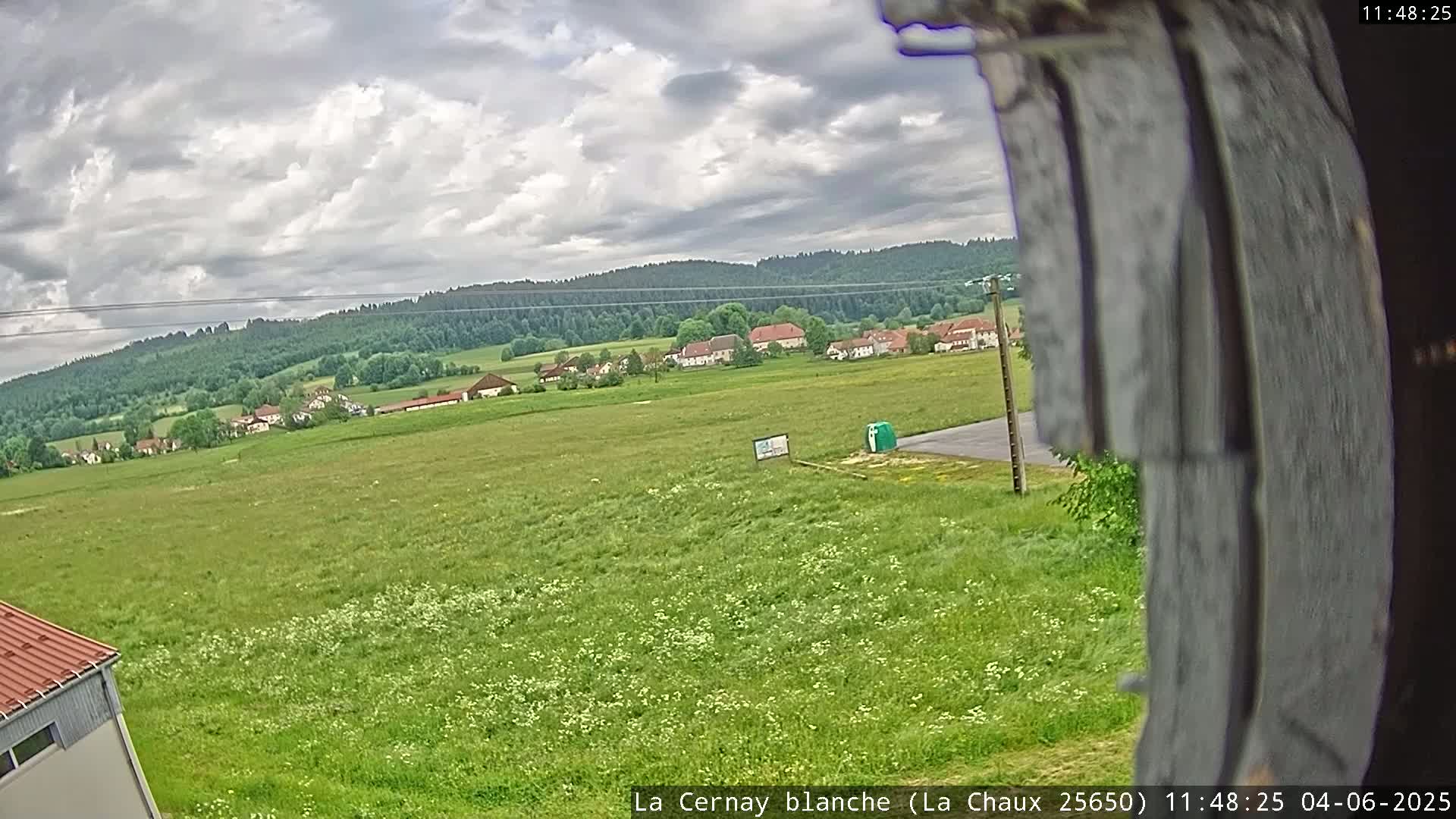 A partly cloudy day reveals a sprawling green field dotted with wildflowers, a small village nestled in the distance against a backdrop of a dark green forest.