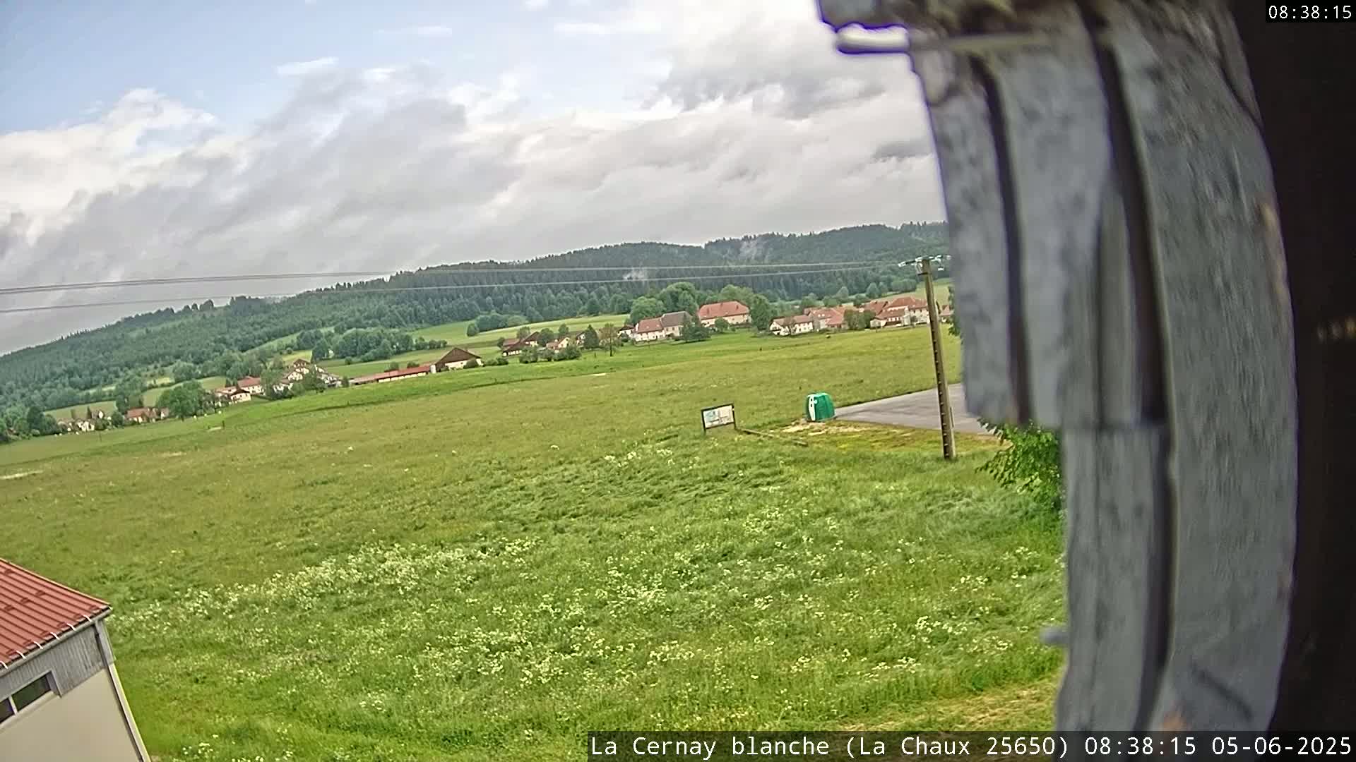 A partly cloudy day reveals a verdant field dotted with wildflowers, stretching towards a small village nestled against a backdrop of a dark green forest.