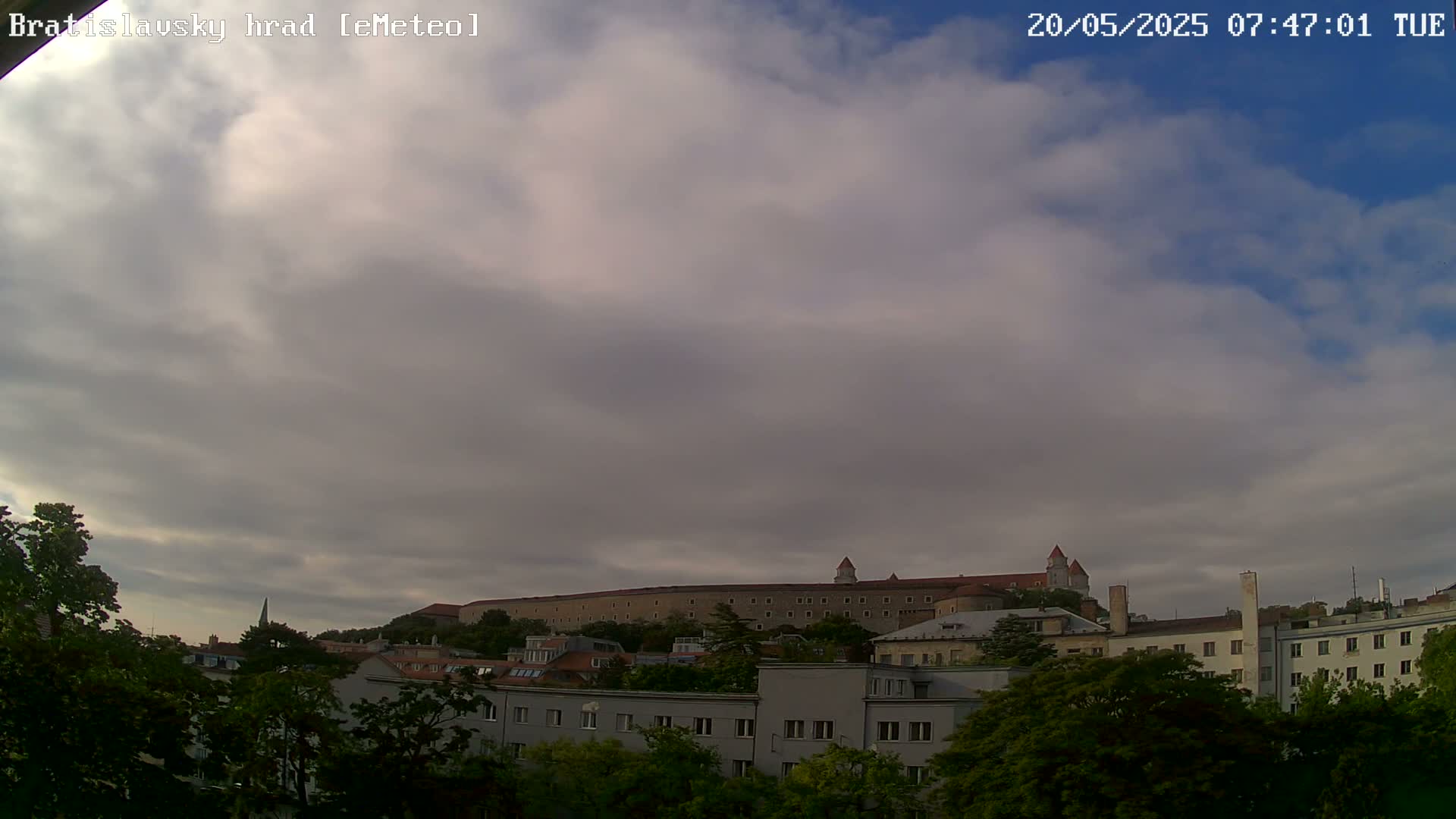 A large castle sits atop a hill in the distance, partially obscured by a mostly cloudy sky, behind a row of buildings and trees.