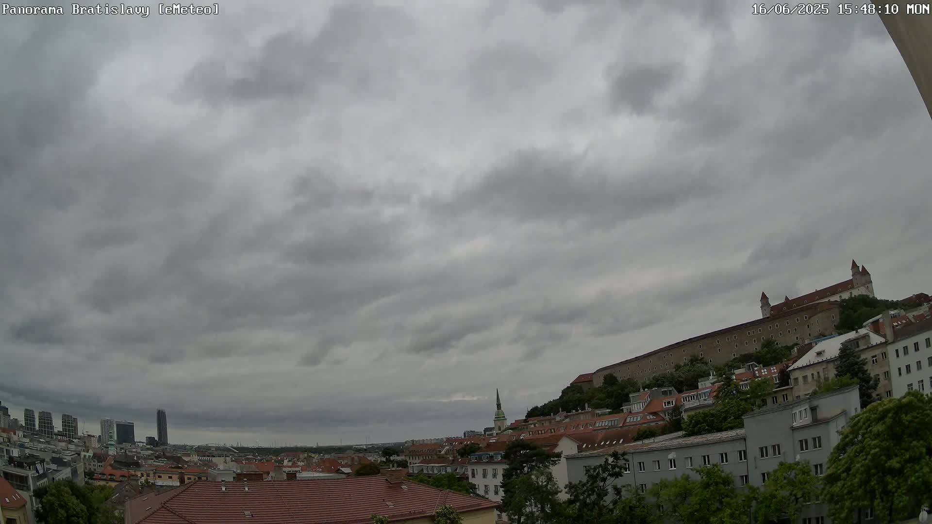 A cityscape under an overcast sky shows a large castle on a hill overlooking a city with many buildings and trees.