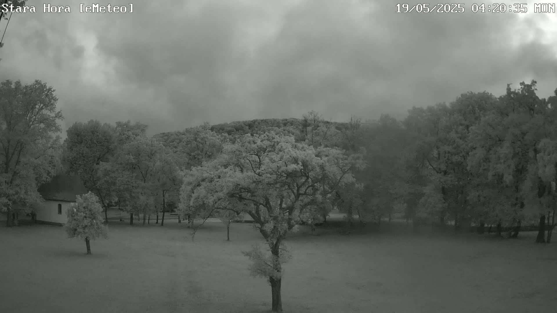 A grayscale image shows a small, white building nestled among deciduous trees on a grassy field under an overcast sky.