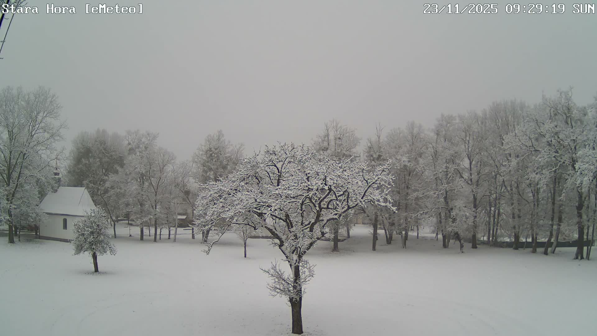 The image displays a serene, snowy winter landscape under an overcast sky, featuring a prominent snow-laden tree in the foreground, a small white chapel to the left, and a dense line of frosted trees extending into a misty background.