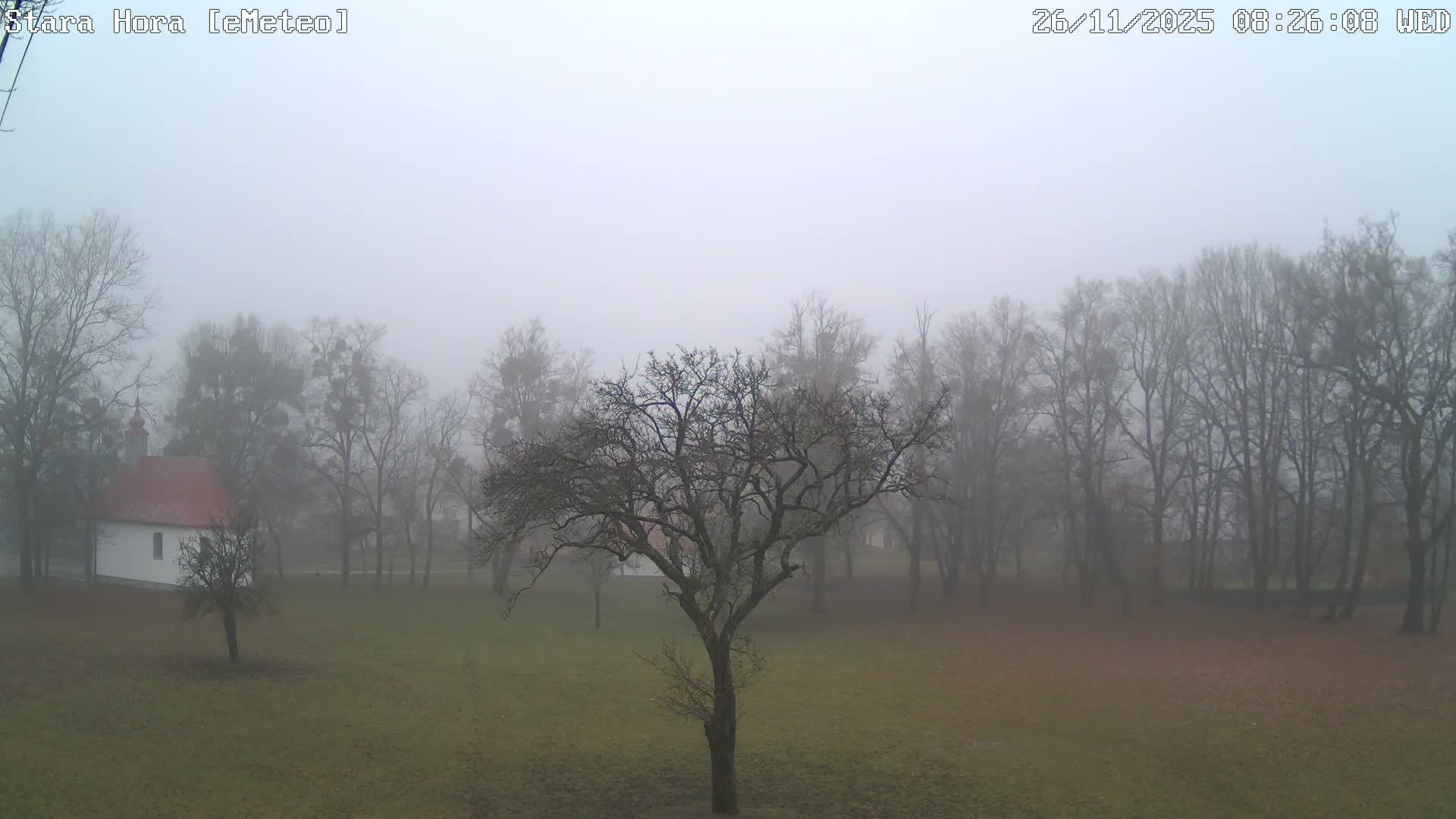A dense fog blankets a landscape featuring a central bare tree, a small white building with a red roof to the left, and numerous leafless trees disappearing into the heavy mist.