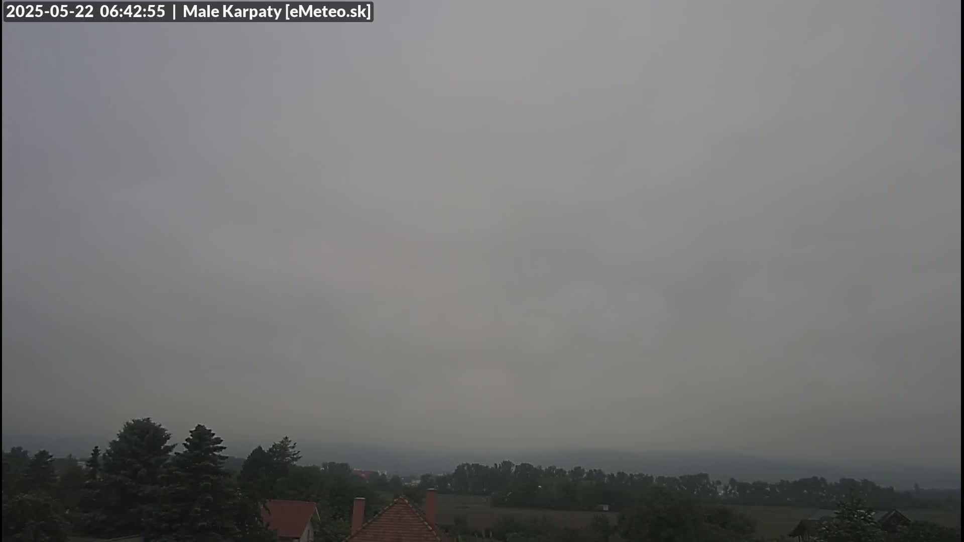 A hazy, overcast sky hangs over a landscape of dark green trees and the reddish-brown rooftops of houses.