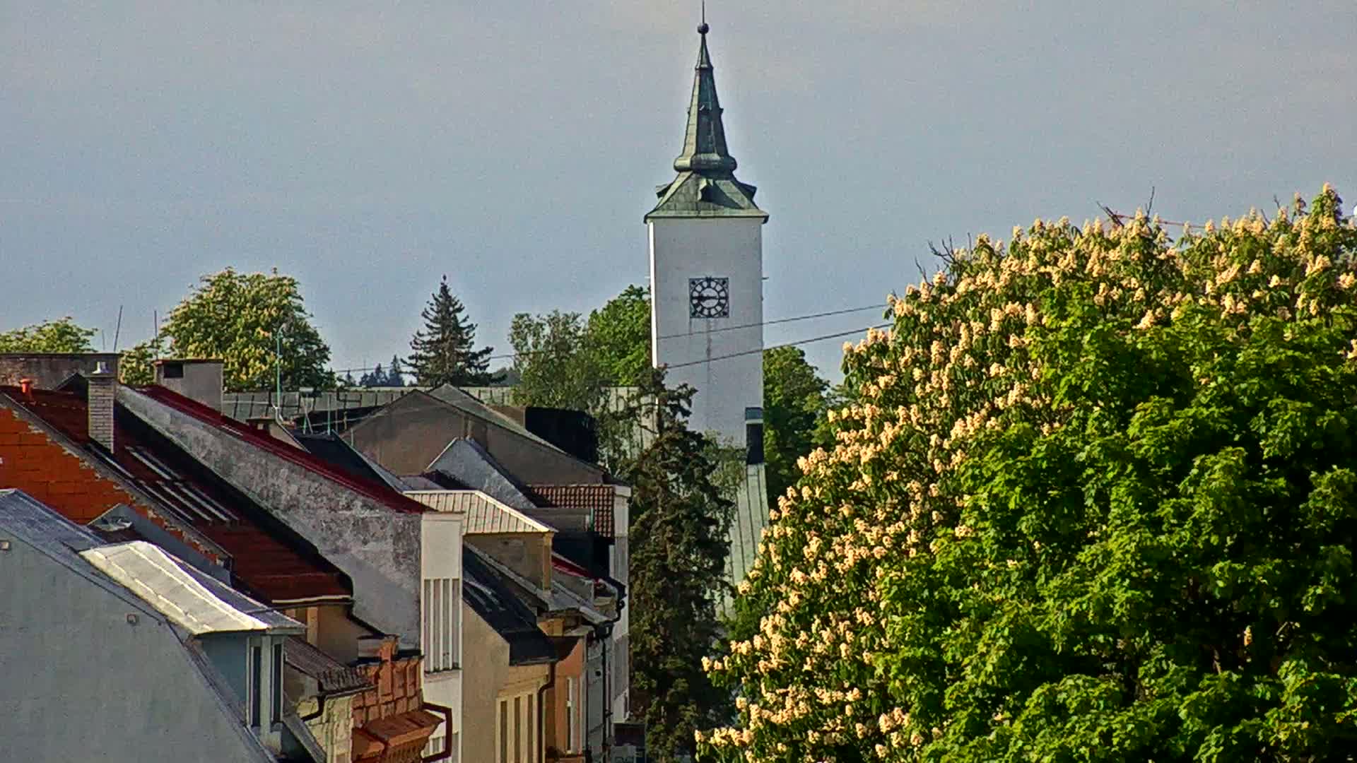 A white clock tower rises above a town of buildings with red-tiled roofs, partially obscured by a large tree in full bloom under a clear sky.