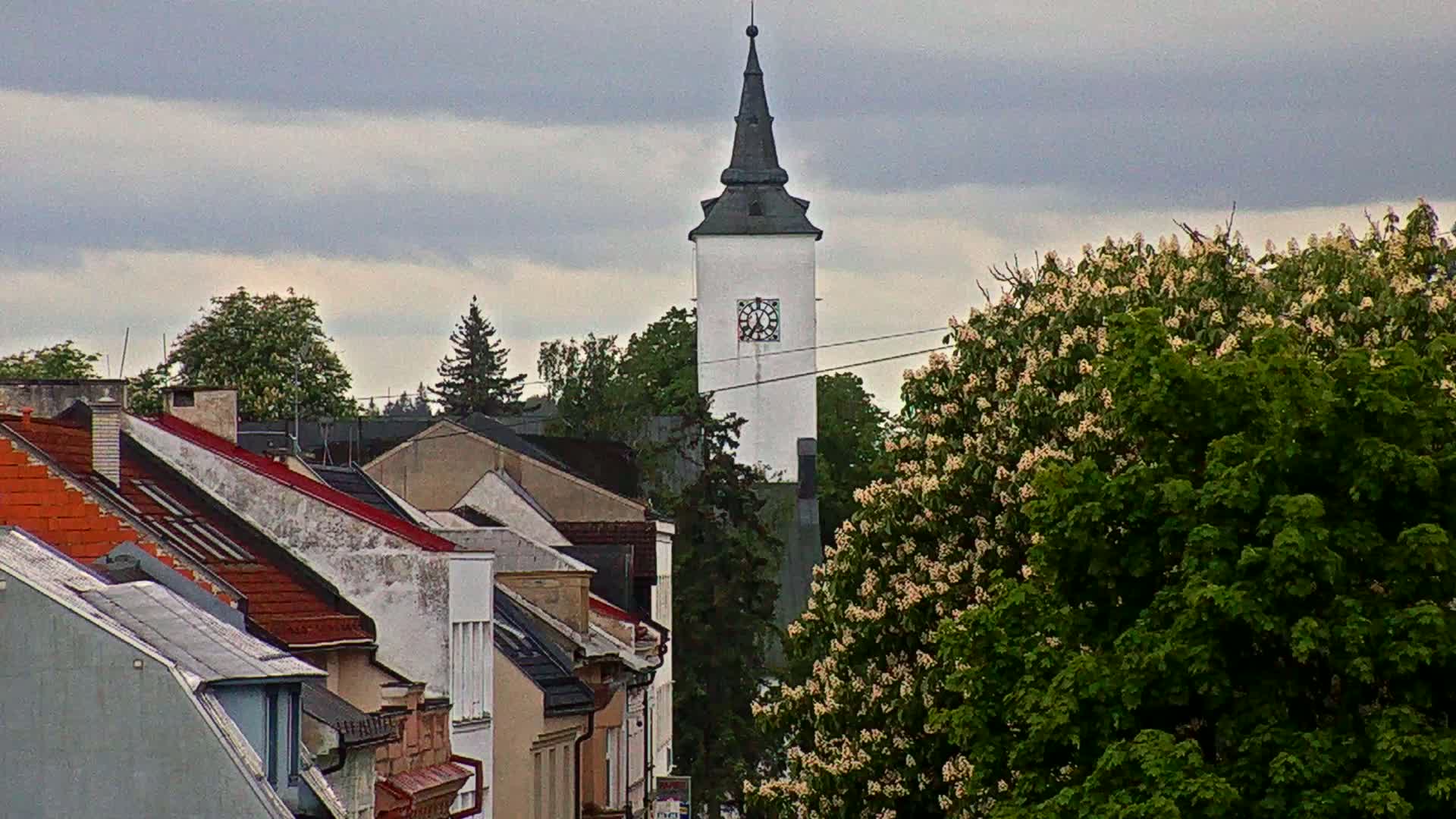 A white clock tower stands behind a row of houses with red-tiled roofs, partially obscured by a large, flowering tree under a cloudy sky.