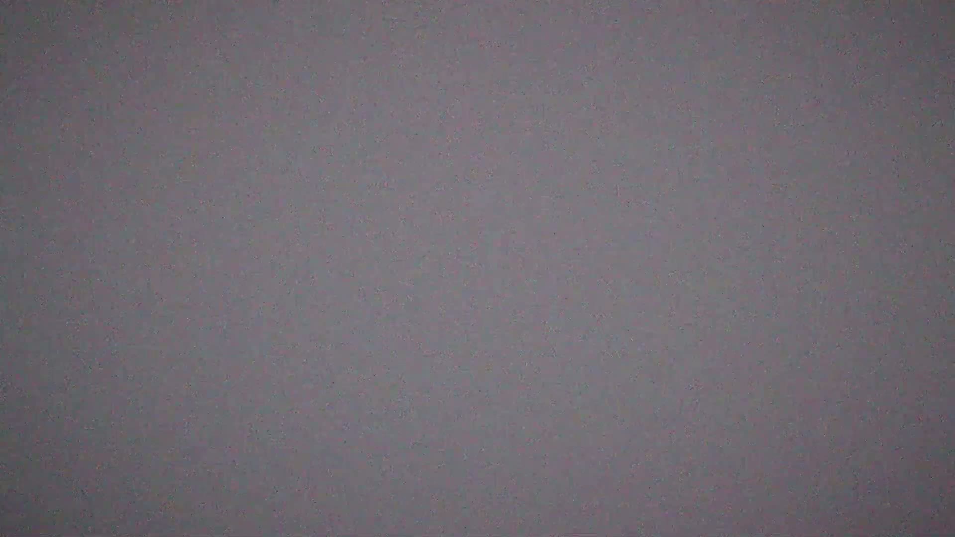 The image shows a uniformly textured, grayish-purple surface.