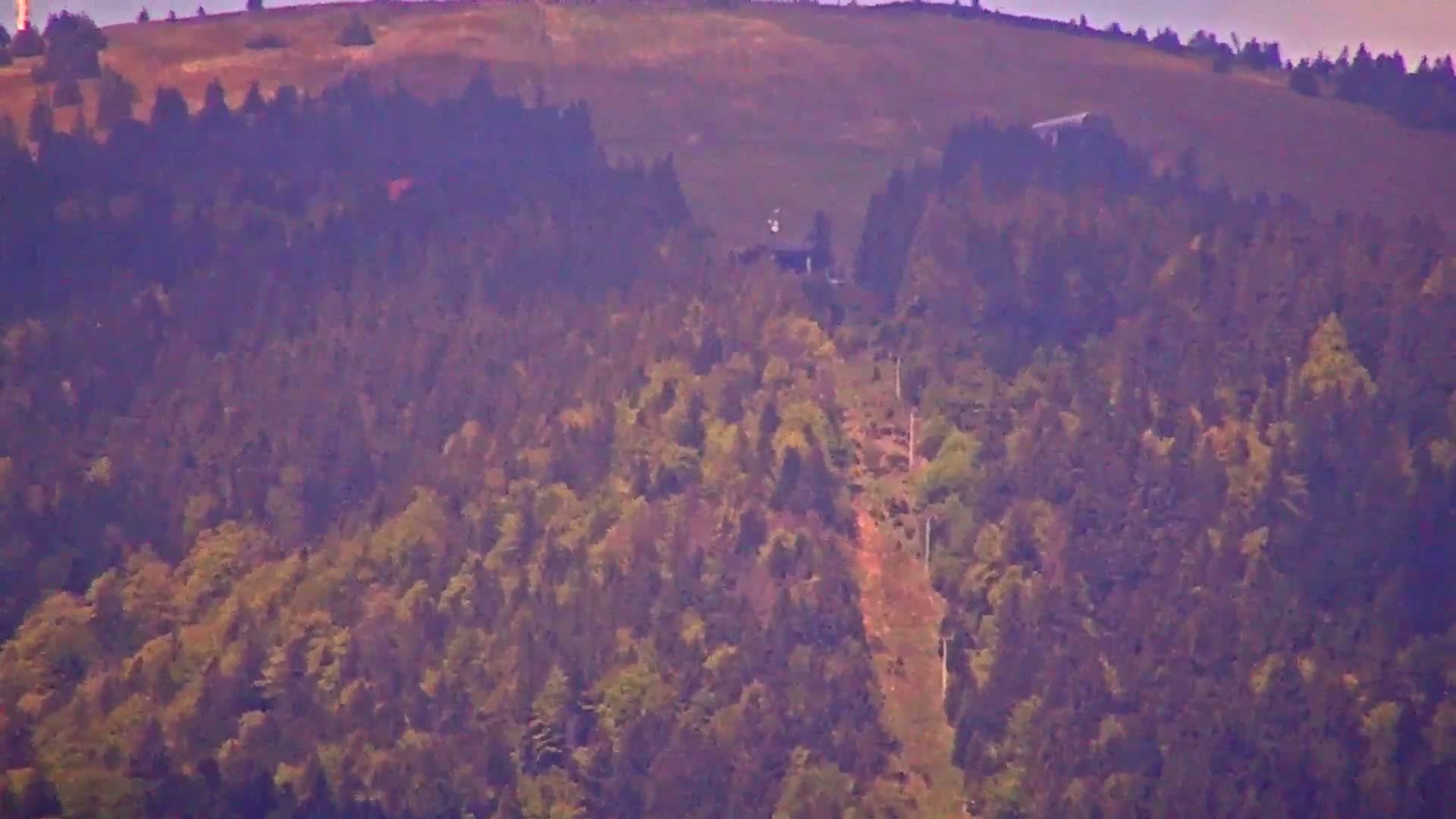 A long cable car line ascends a forested hillside under a hazy sky.