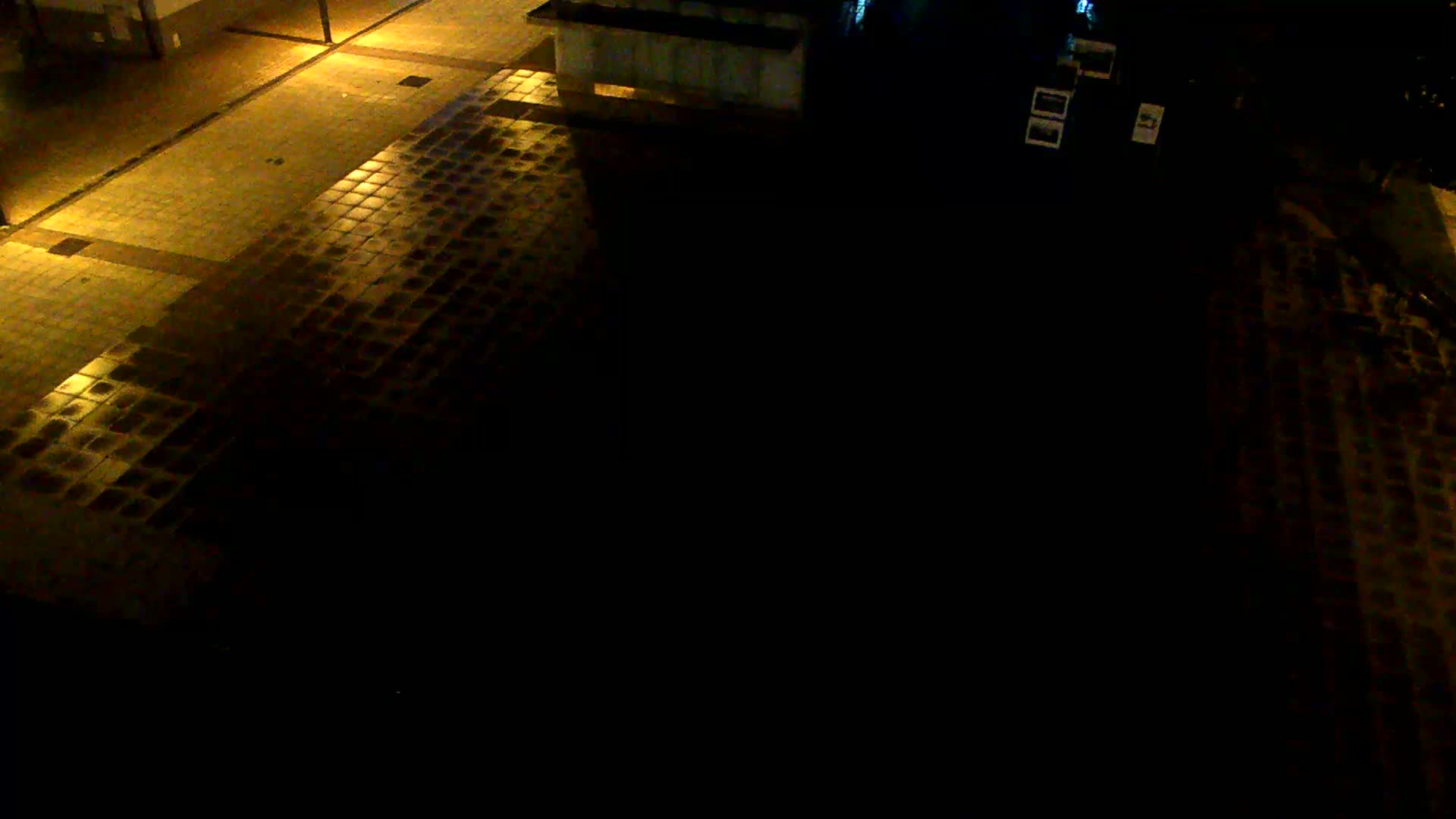A dark, nighttime view of a wet tiled plaza illuminated by streetlights.