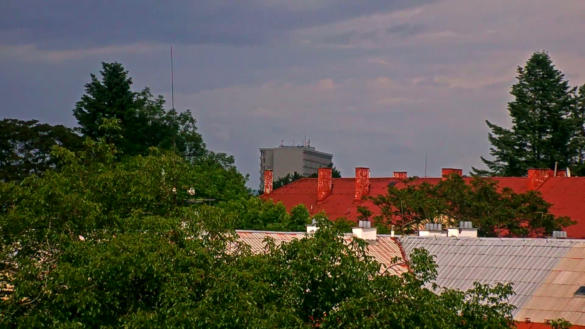 Overgrown trees partially obscure a view of red and gray rooftops and a distant, light-gray building under a mostly cloudy sky.