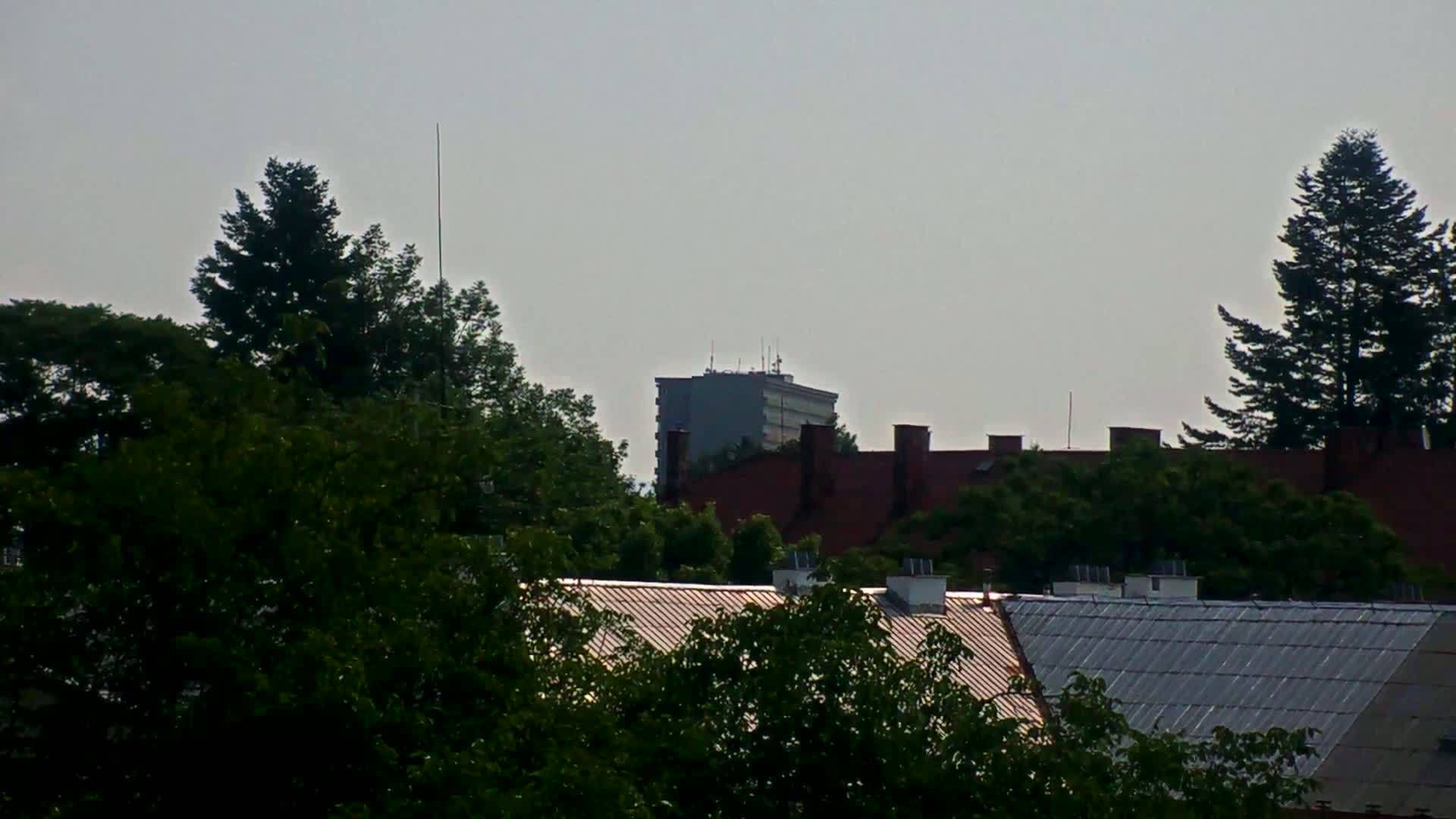 A hazy view shows the tops of leafy green trees, several rooftops, and a tall building in the distance.