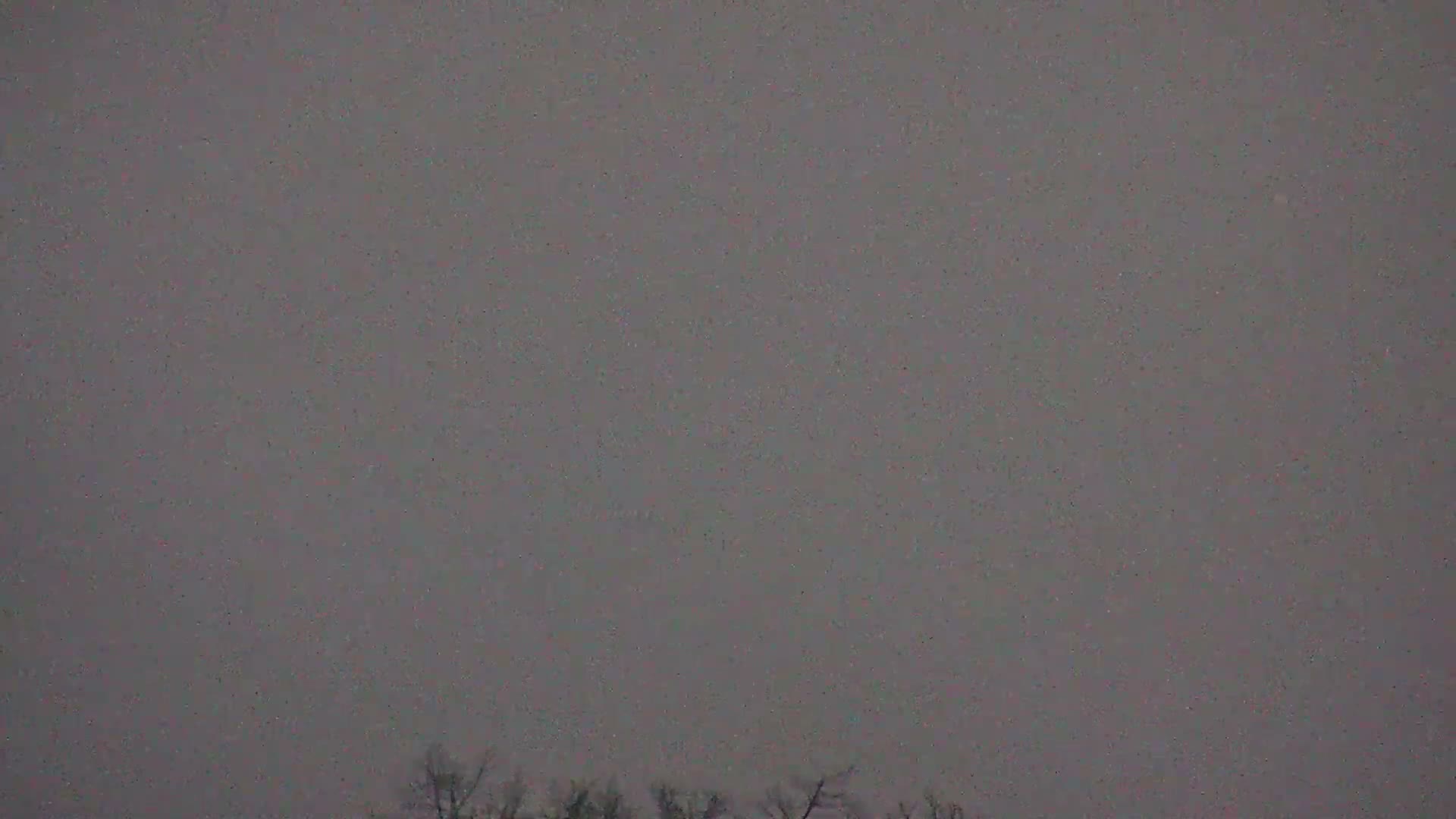 A vast, grainy grey sky fills most of the frame with a scattering of small bright specks, suggesting light snowfall on an overcast day, while bare tree branches are faintly visible at the very bottom.