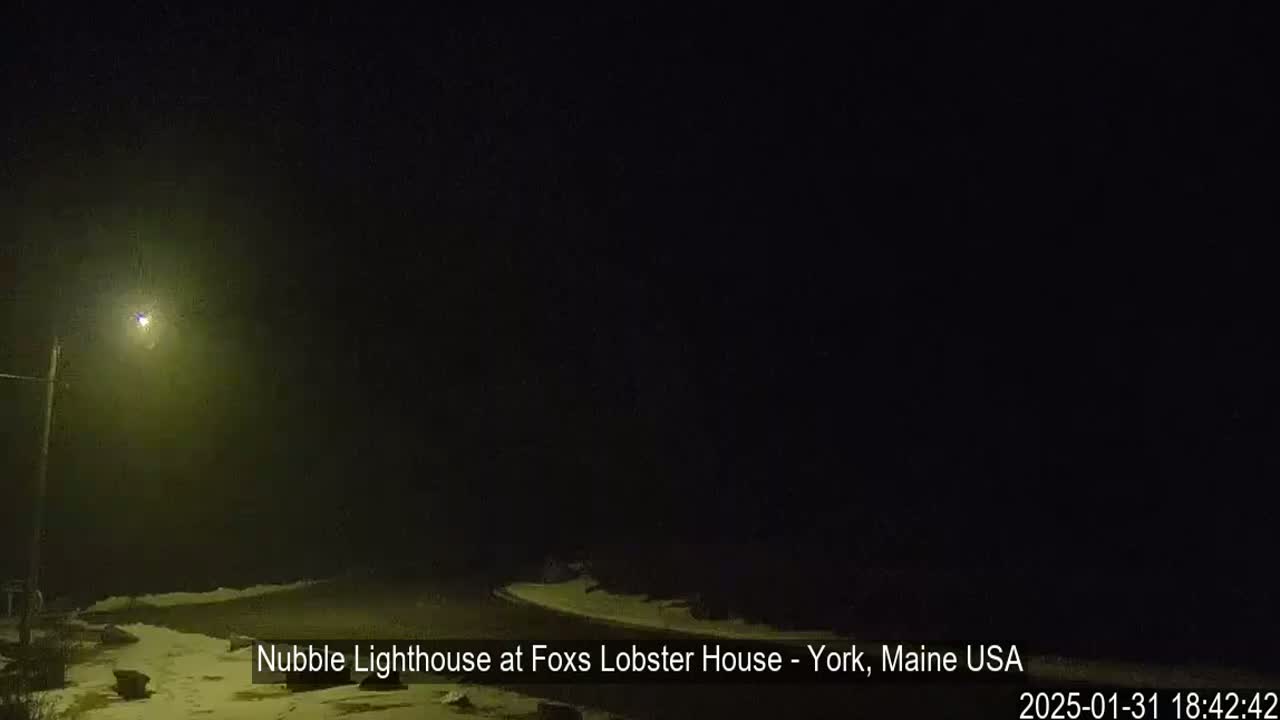 A nighttime scene shows a dimly lit snowy landscape under foggy conditions, with a single light post illuminating a portion of the foreground.