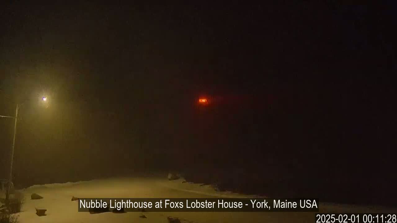 A dimly lit snowy landscape at night is seen with a distant red light and a streetlight in the foreground, under heavy fog or snow.