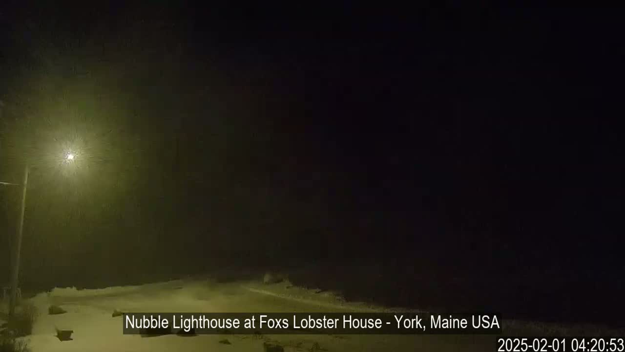 A nighttime snowstorm obscures the view of a snow-covered landscape illuminated by a single streetlight.