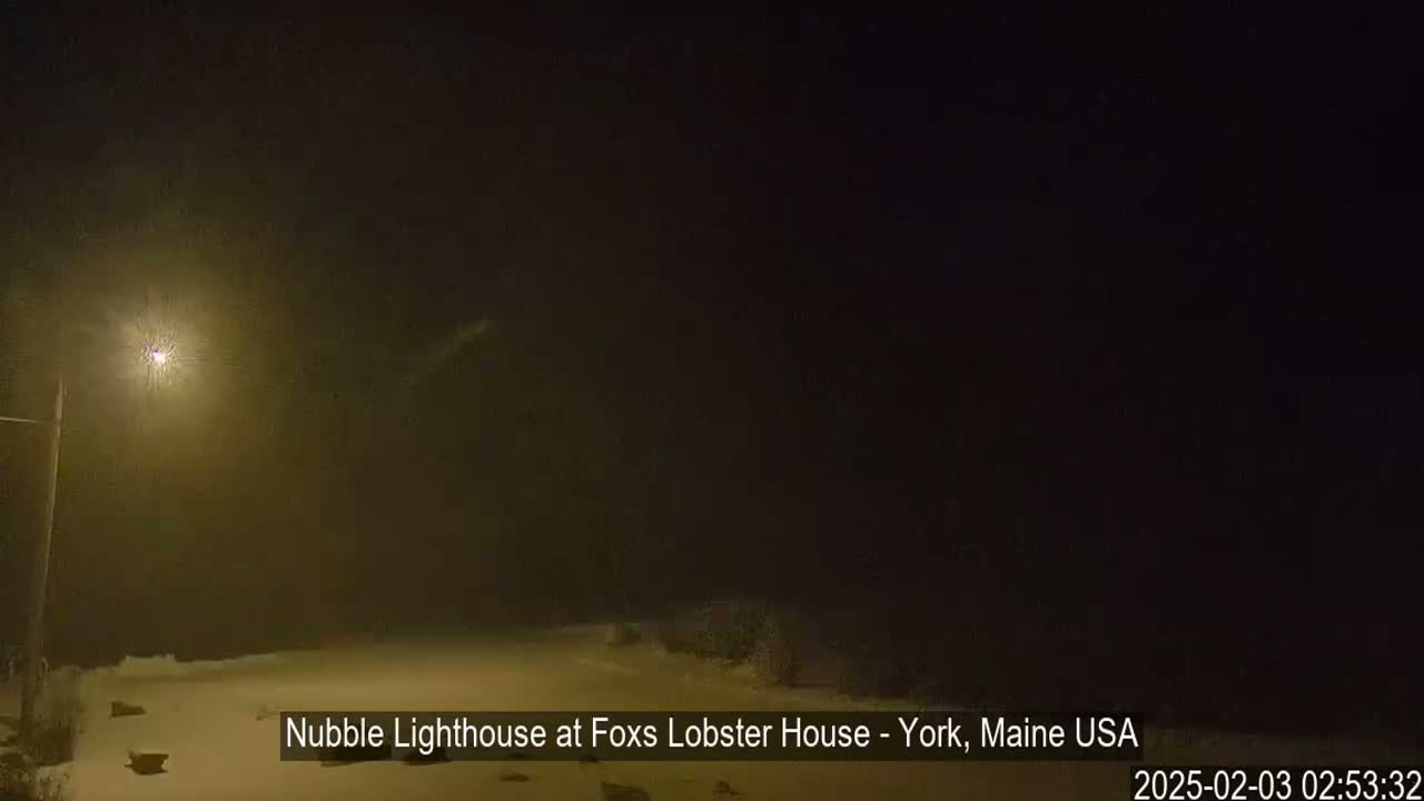 A nighttime scene of a snow-covered landscape under heavy snowfall, illuminated by a single streetlight.